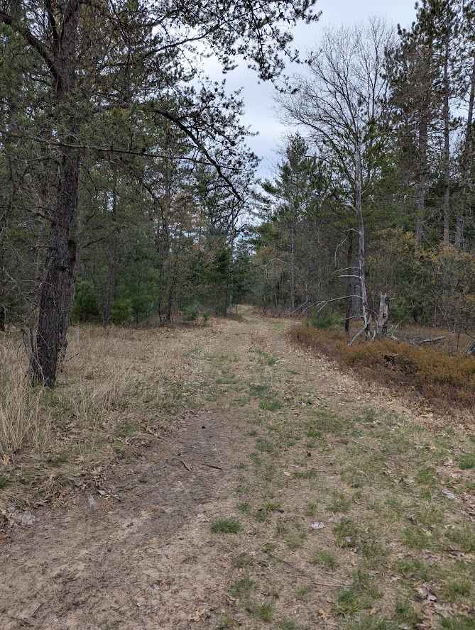 Reserve Loop