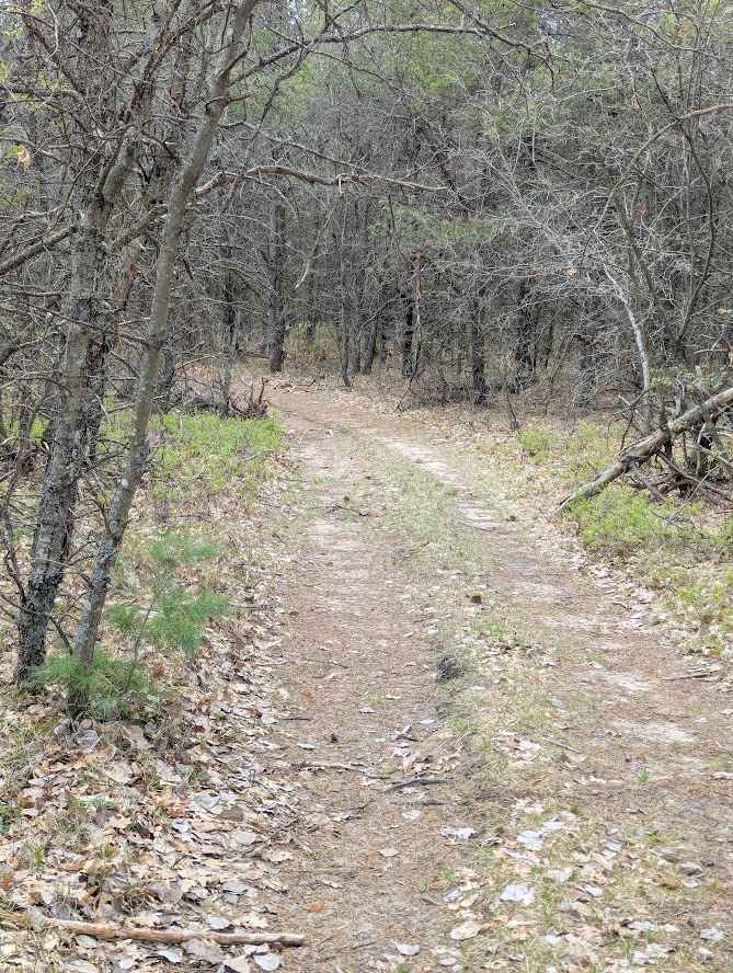 Reserve Loop