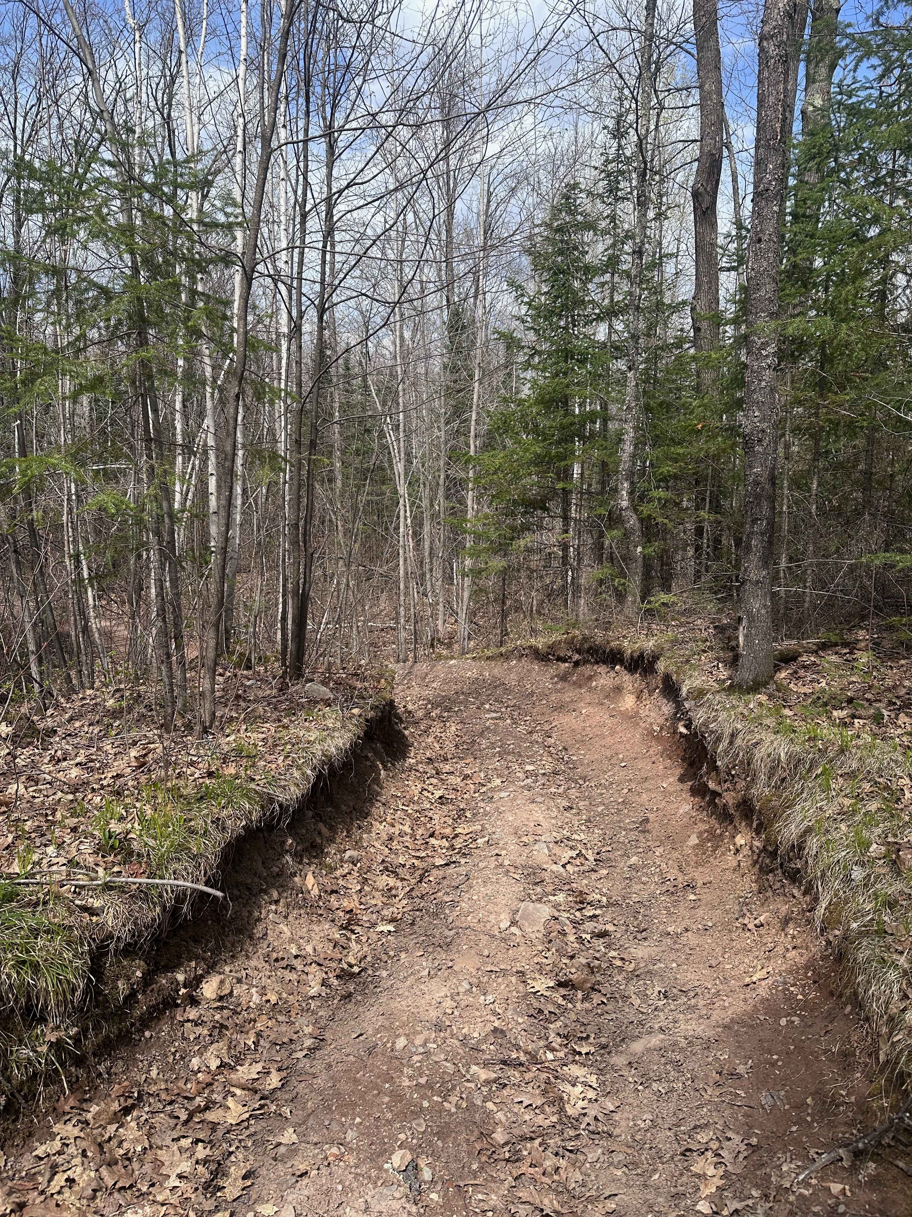 Wilderness Trail