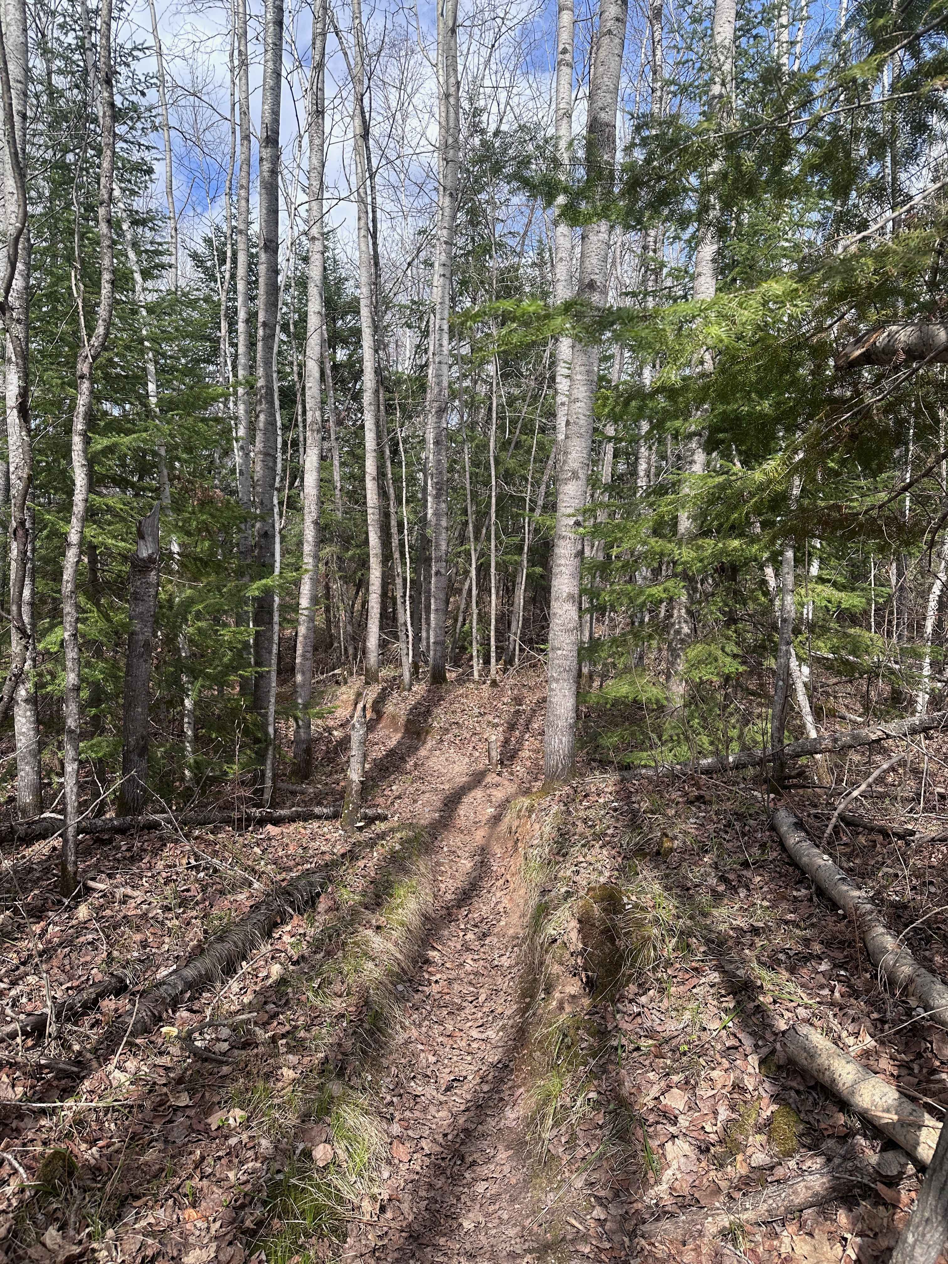 Corduroy Trail