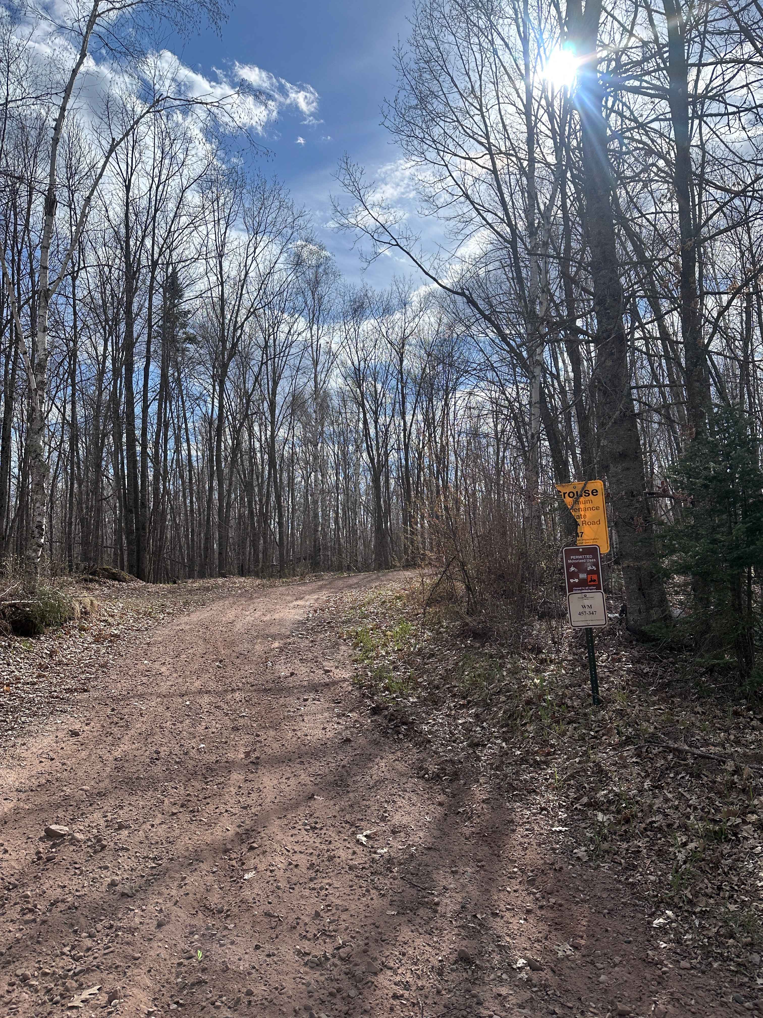 Grouse Forest Road