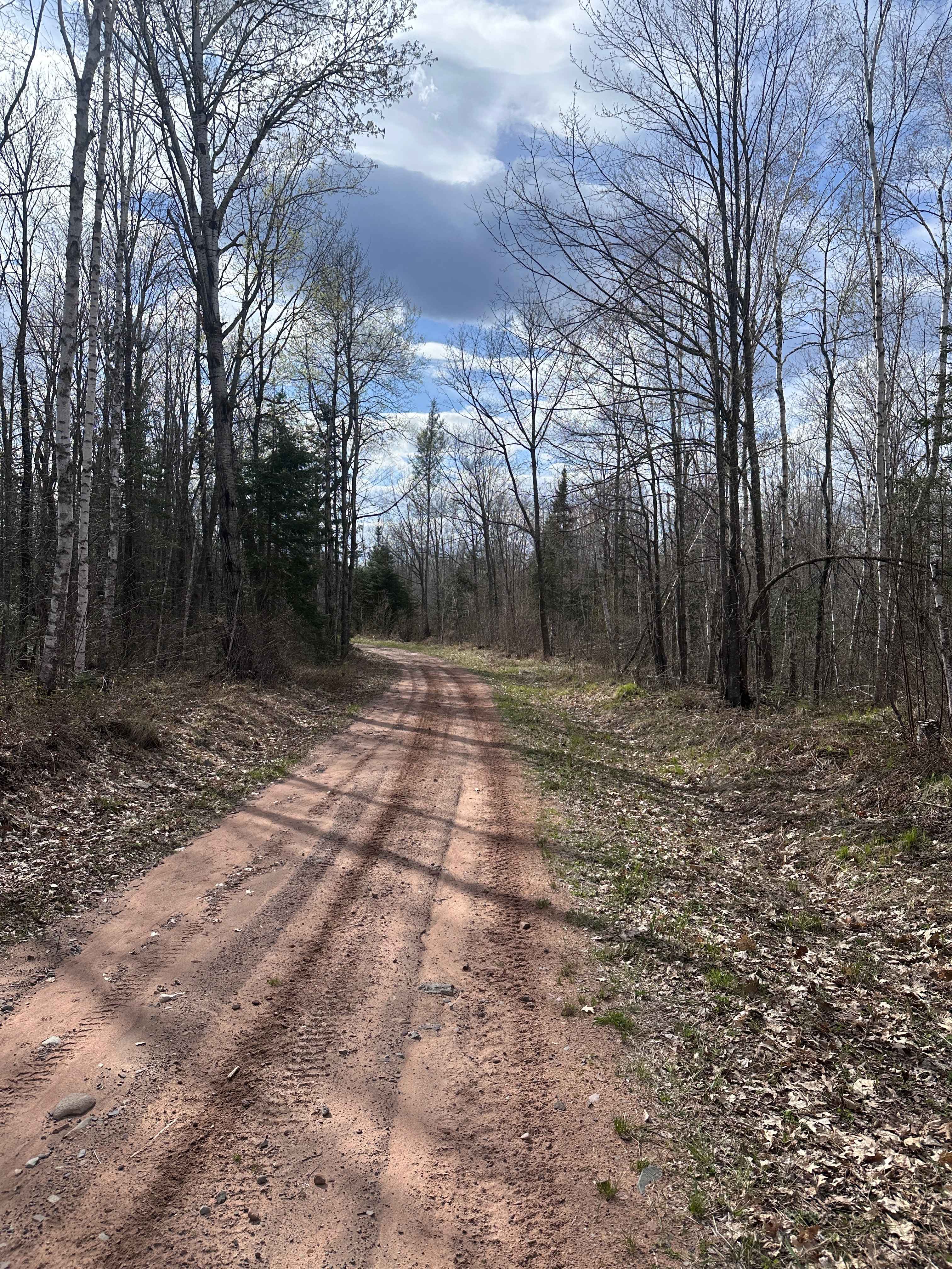 Grouse Forest Road