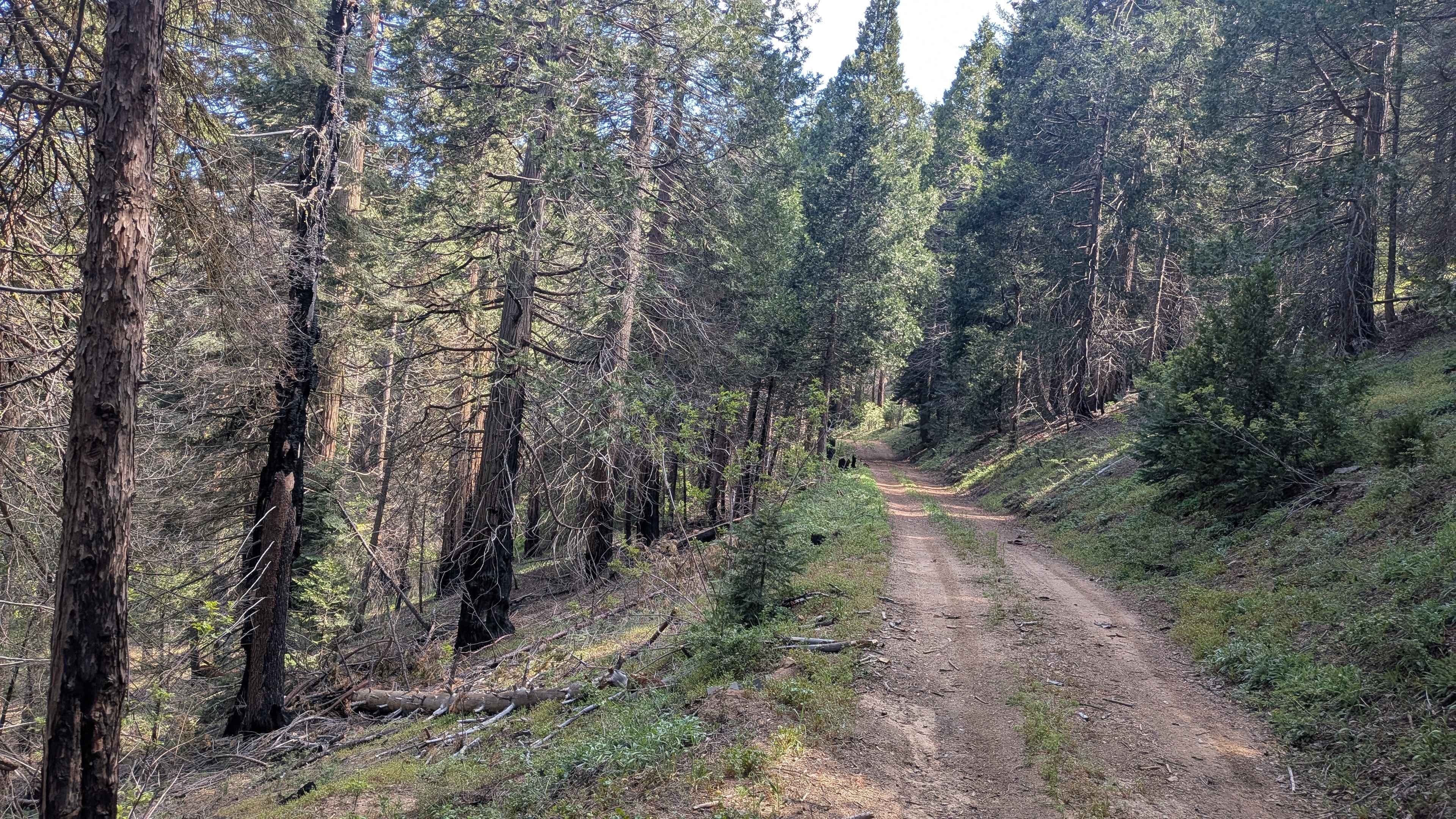 Rancheria Spur - FS 25S15C