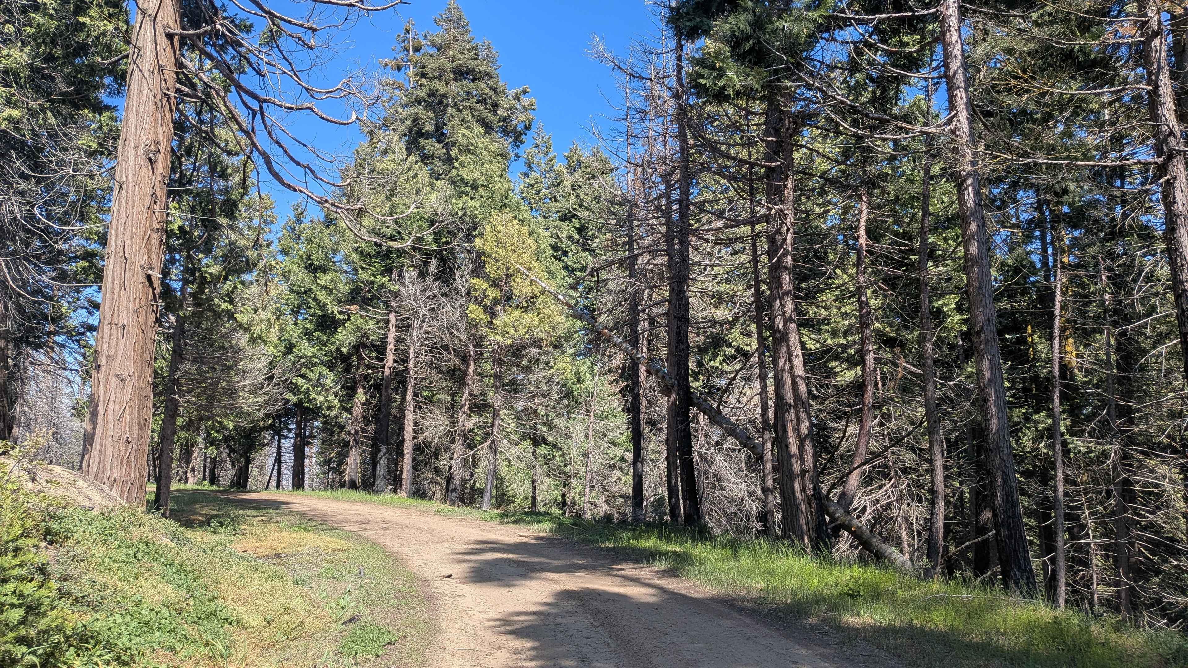 Rancheria Spur - FS 25S15C