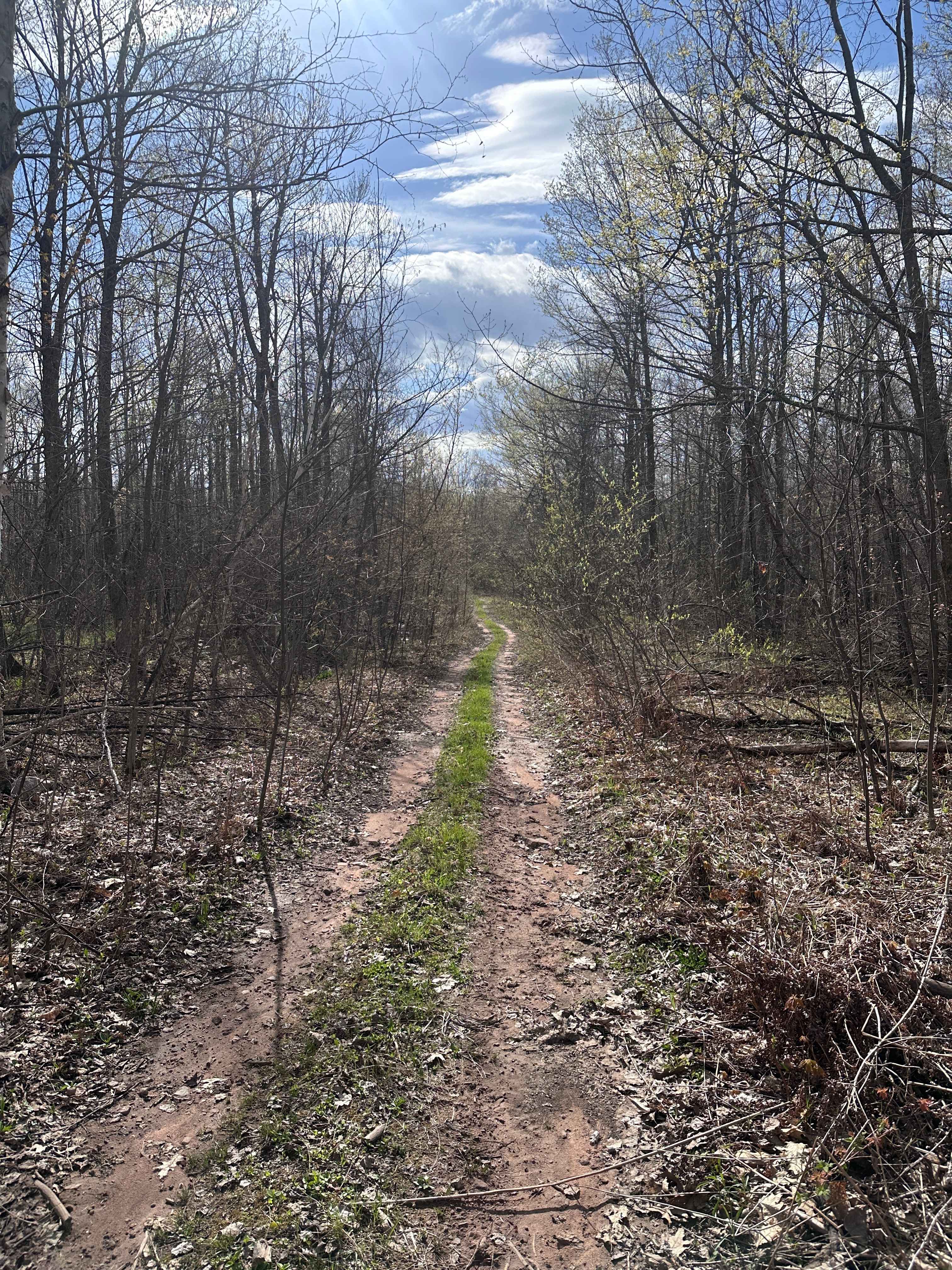Abandoned Bog Trail