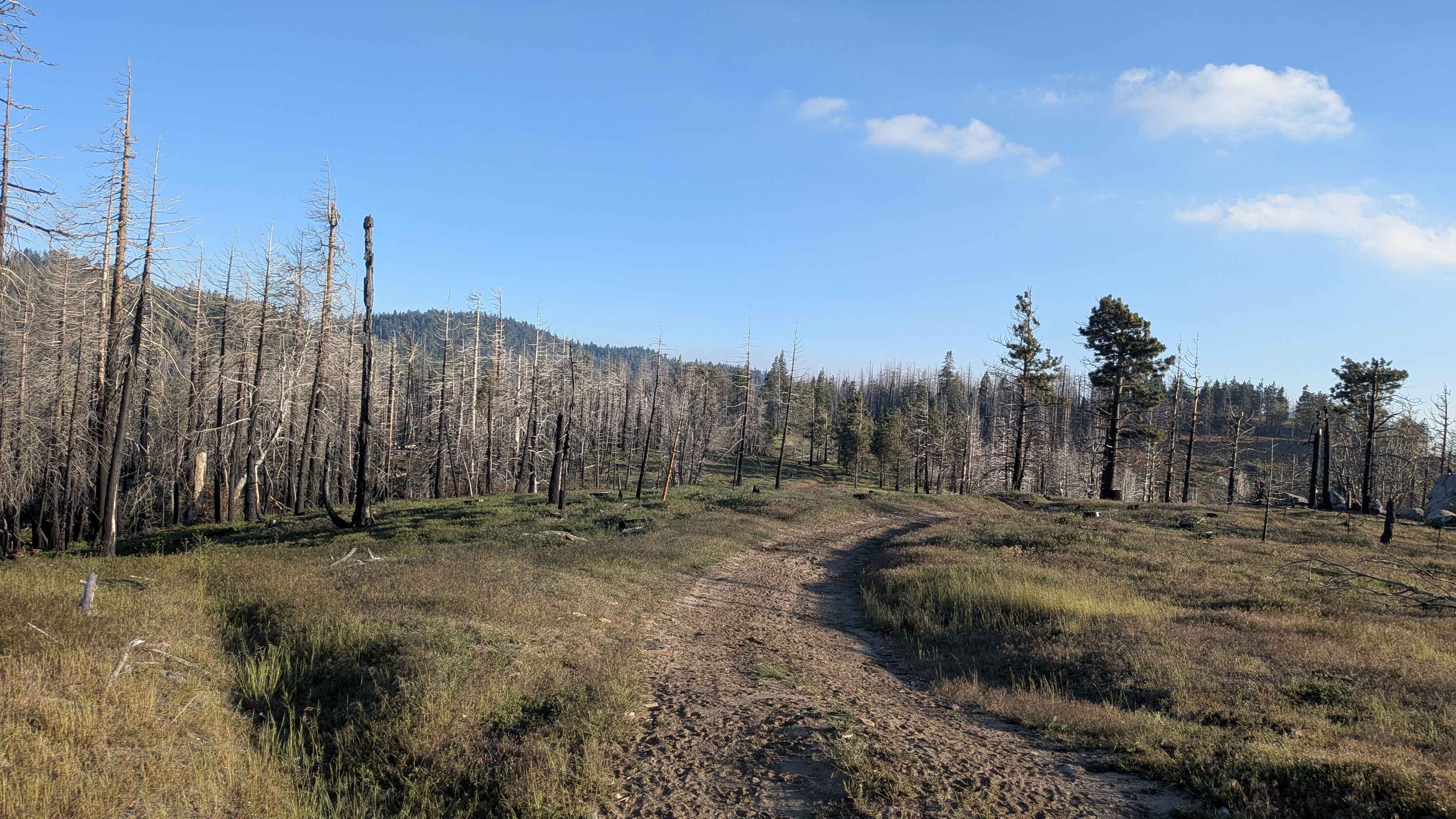 Poso Creek East - FS 26S29