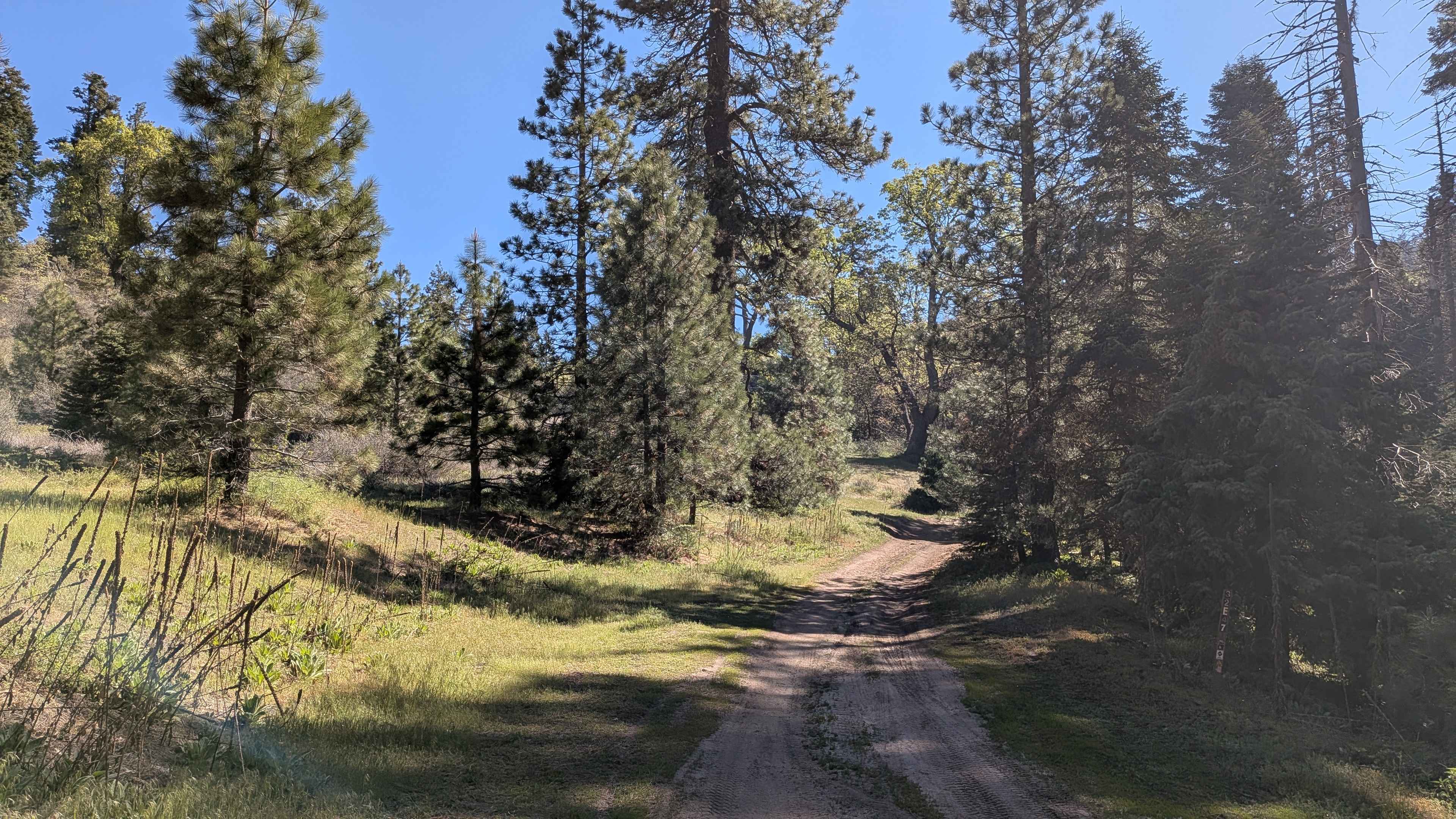 Woodward Peak - FS 32E53