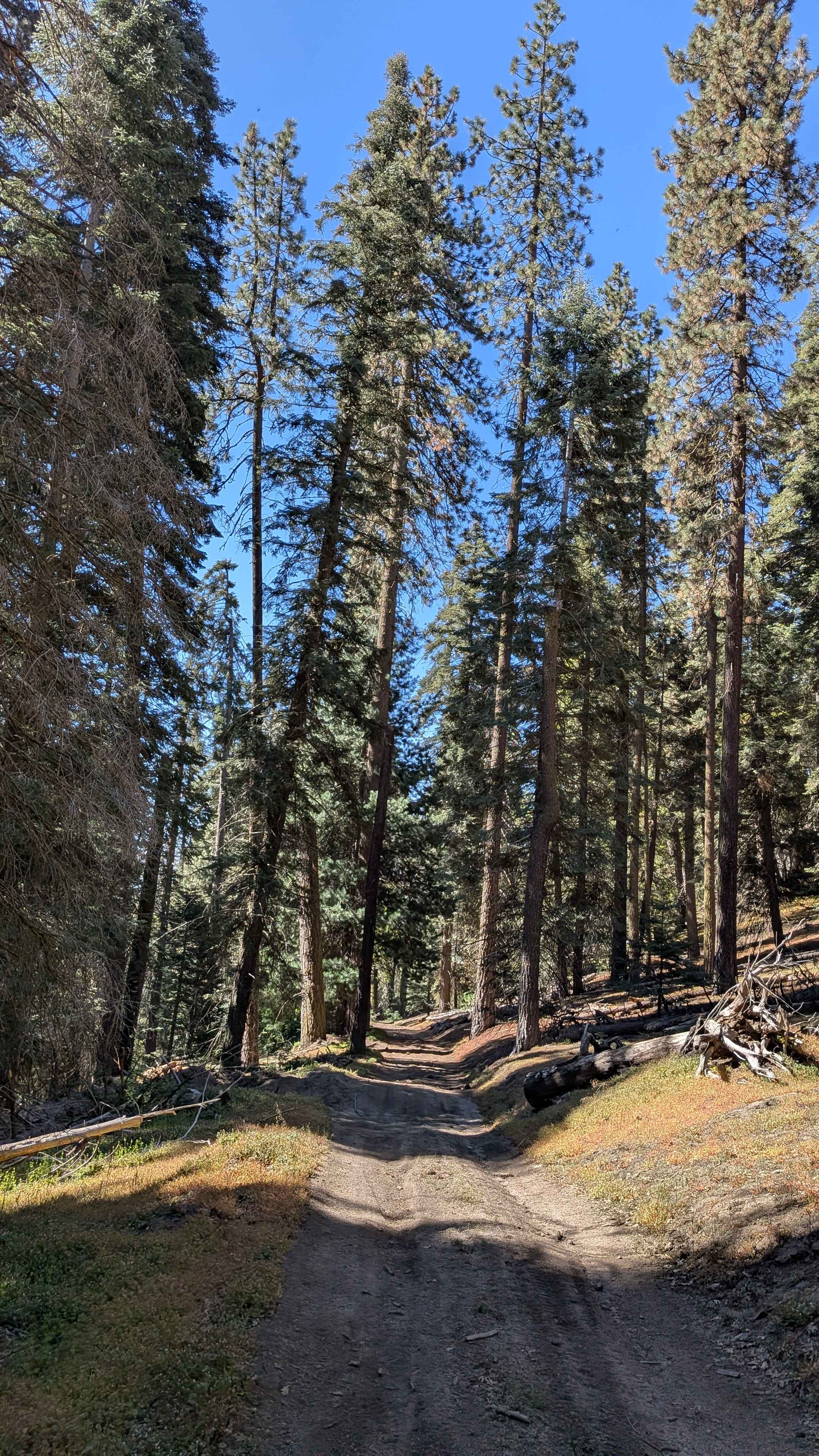 Woodward Peak - FS 32E53