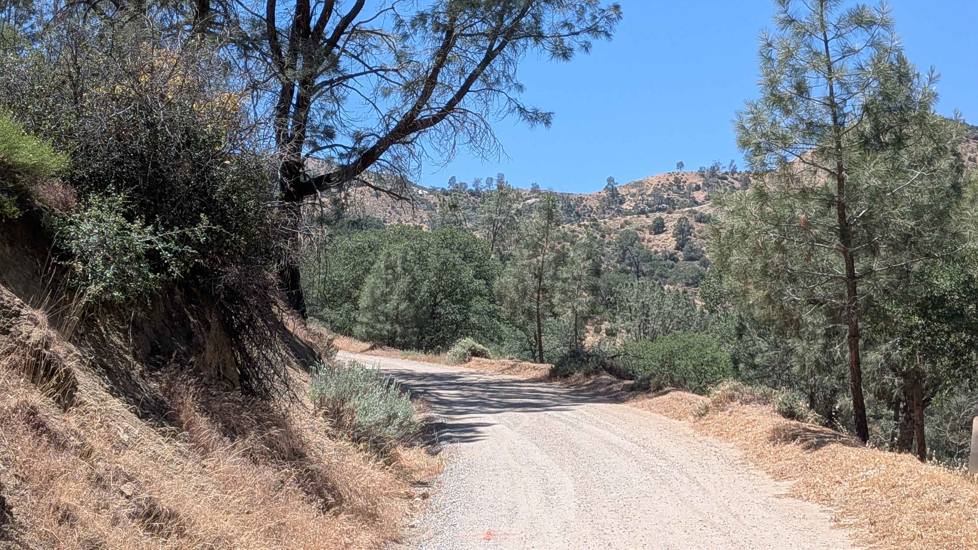 Old State Road South