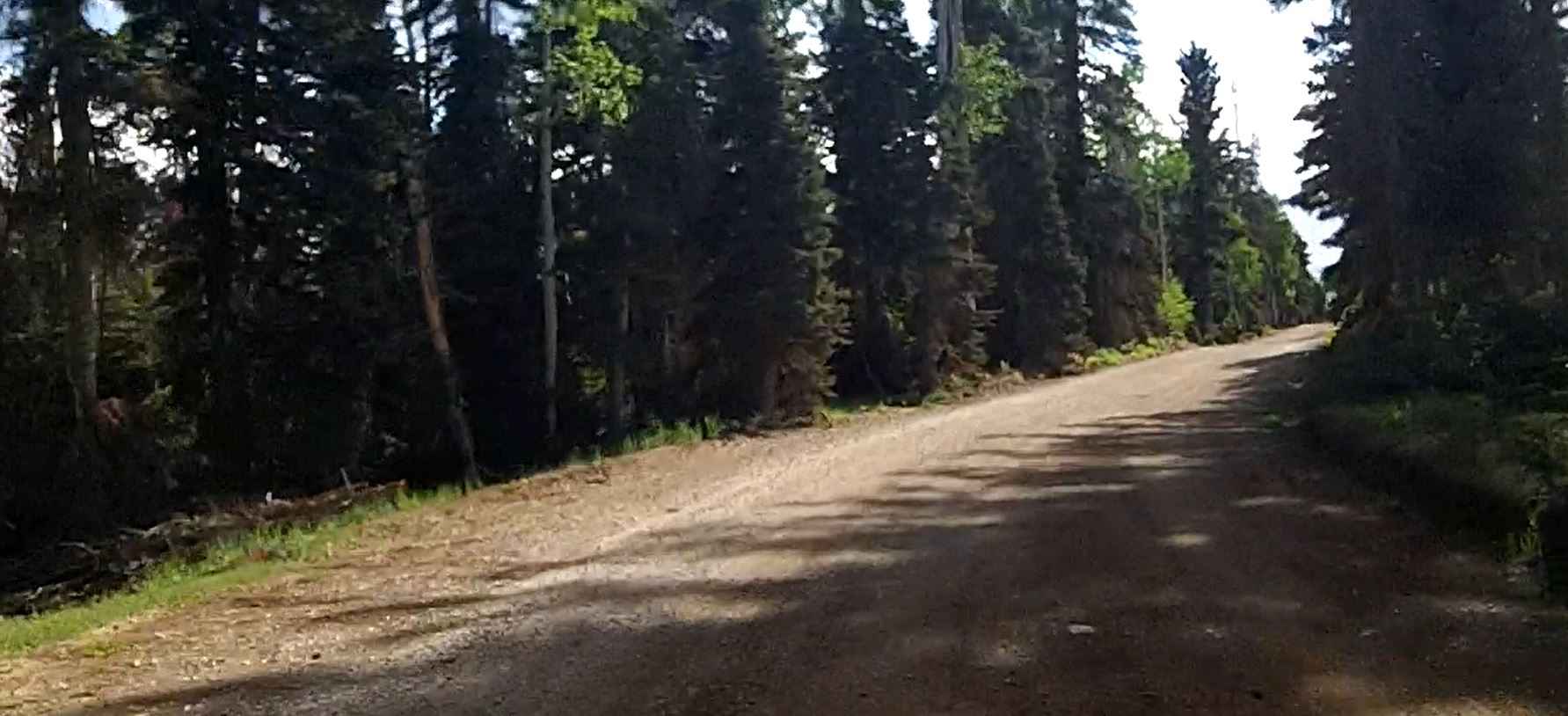 Red Desert Road