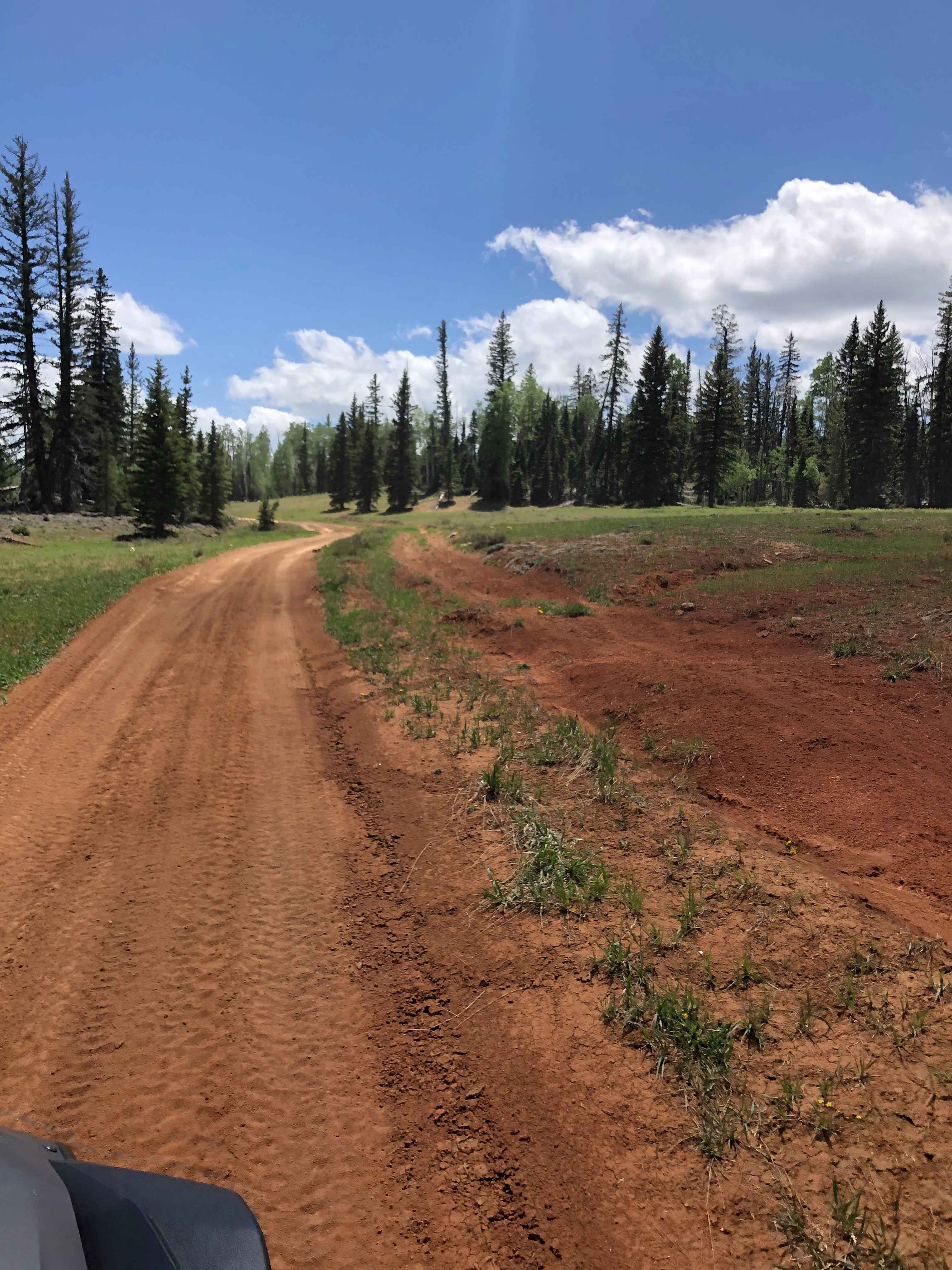 Red Desert Road