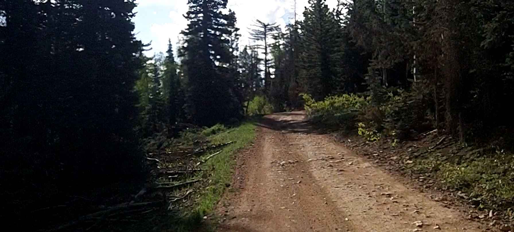 Sage Valley Road