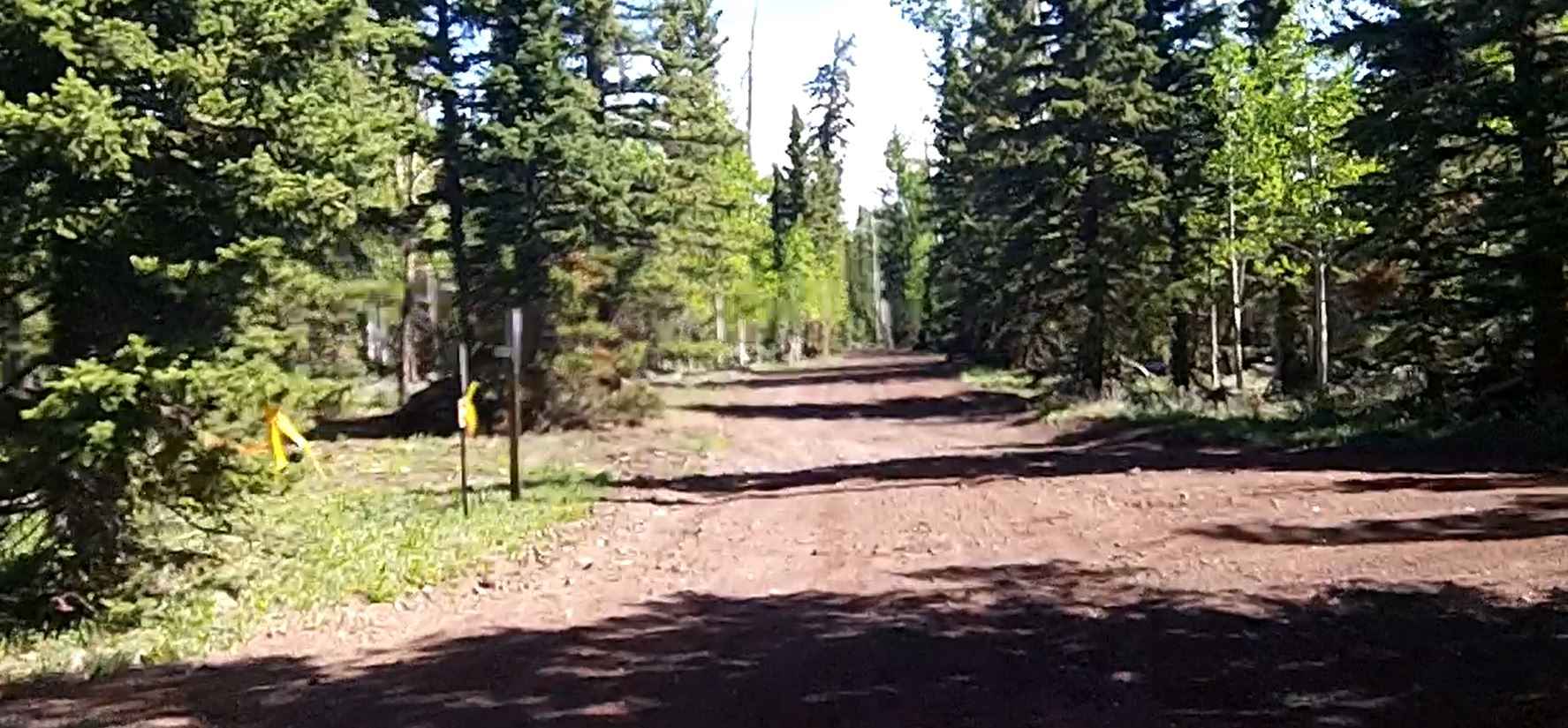Tommy Creek Loop