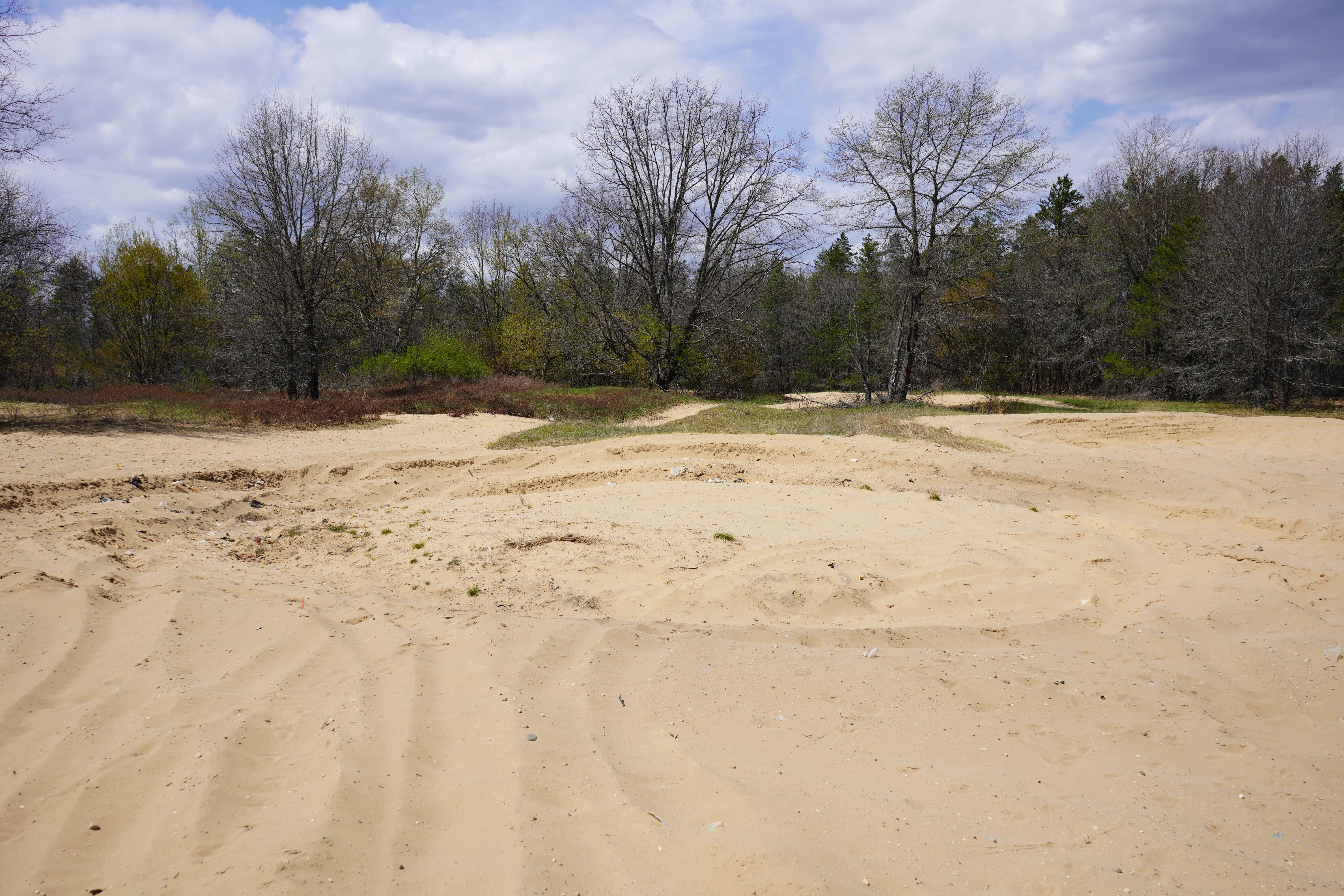 Artesia Beach Trail