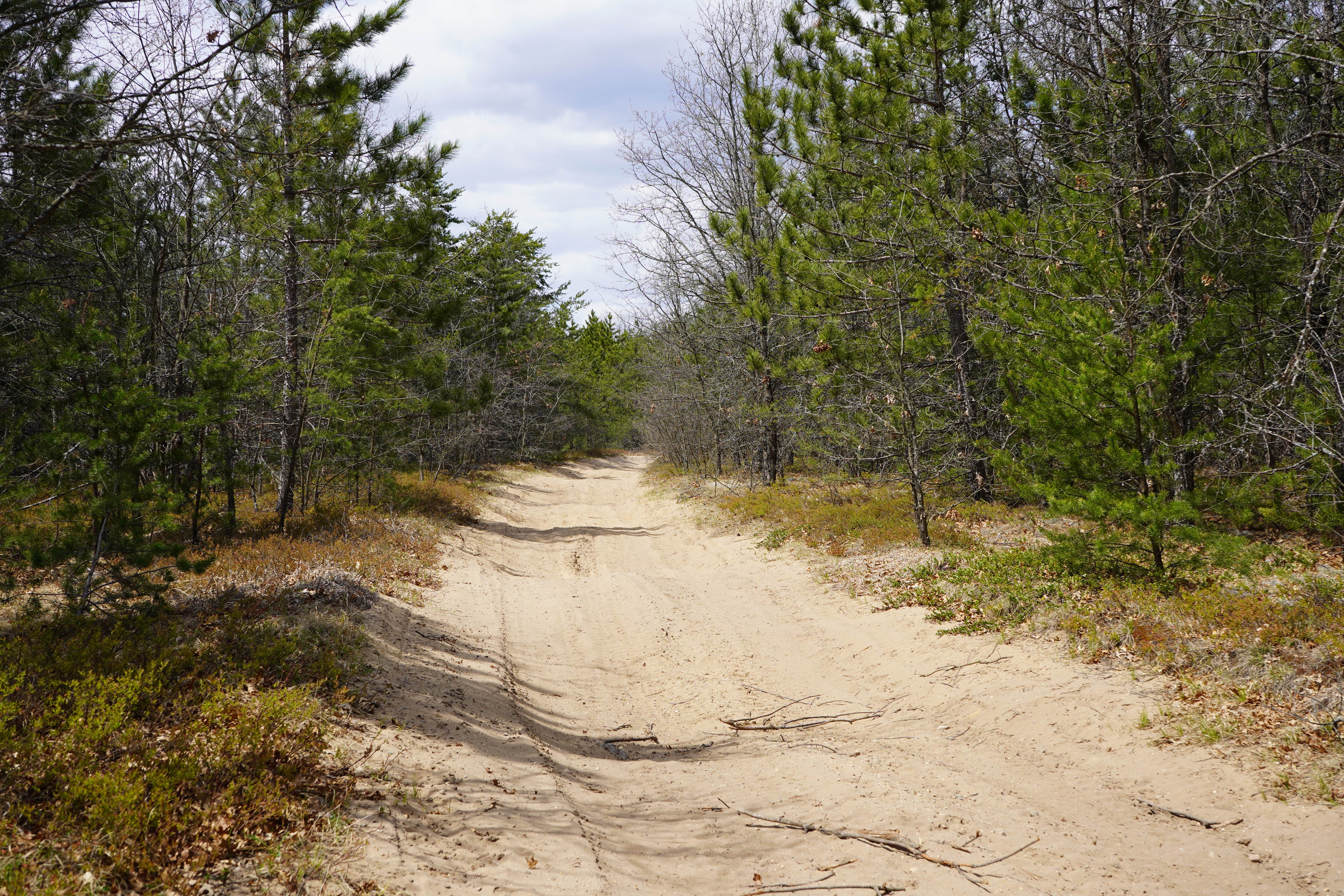 Artesia Beach Trail