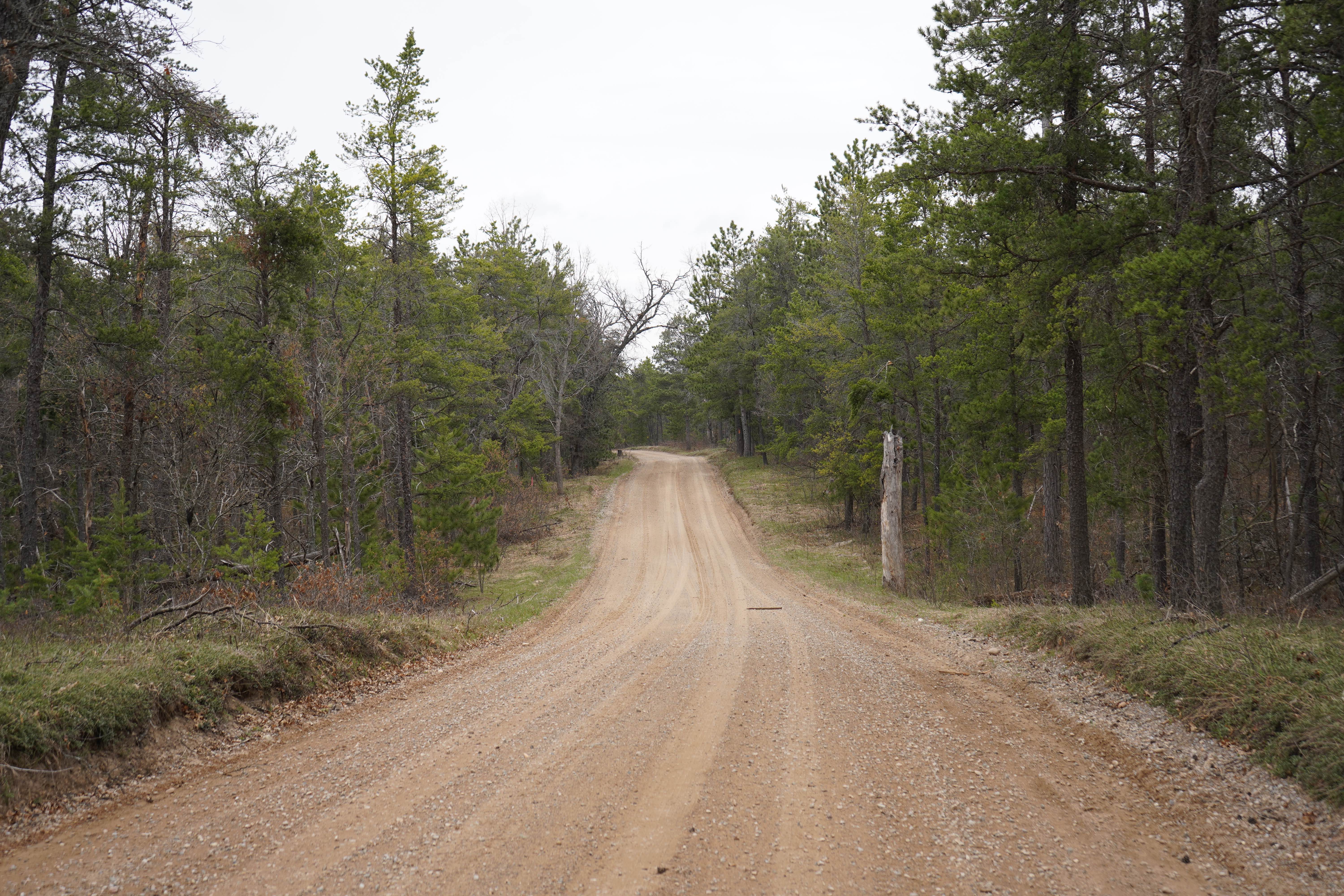 Watson Road