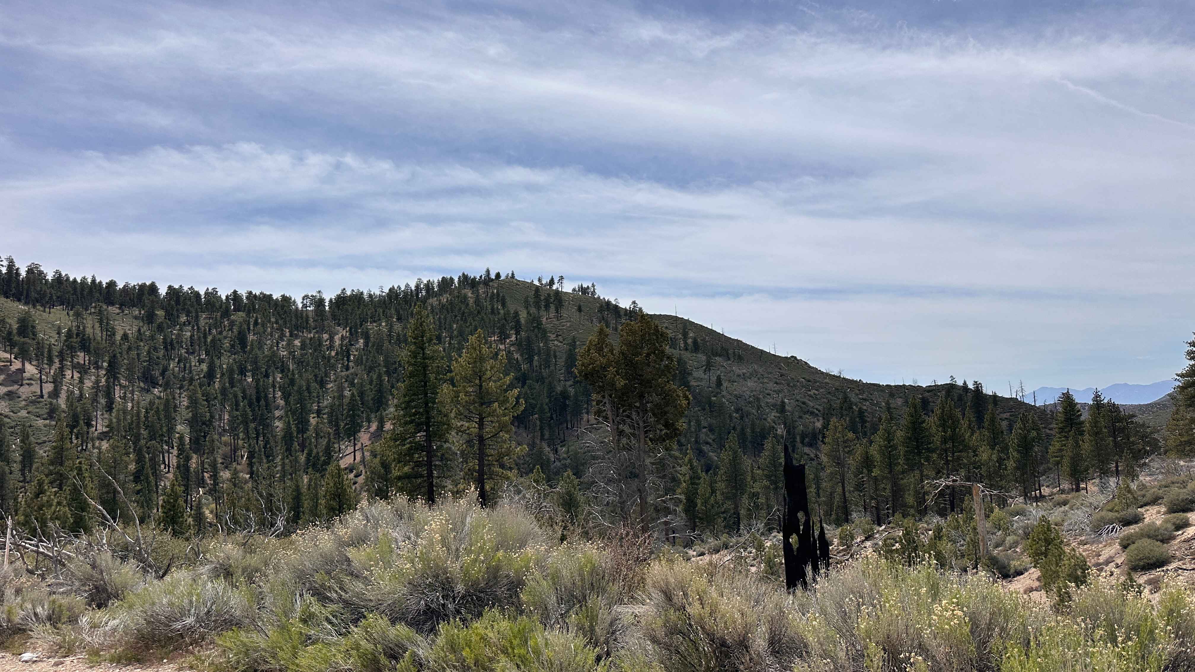 Upper Holcomb PCT
