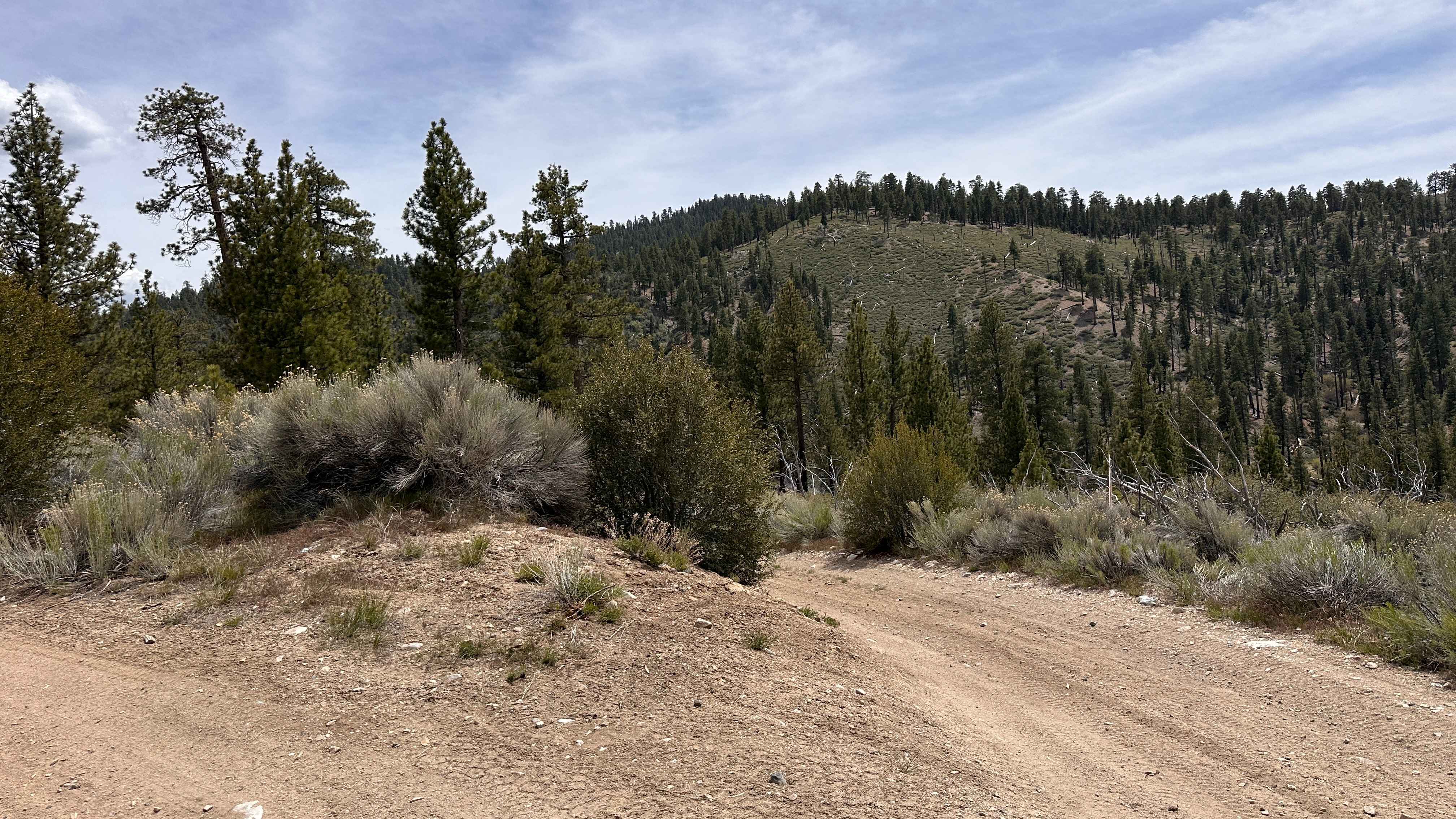 Upper Holcomb PCT