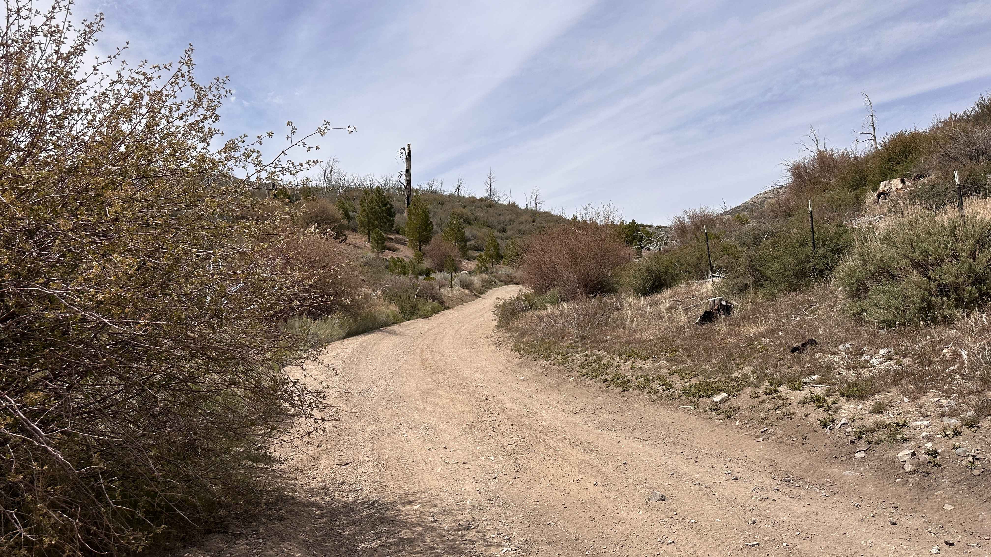 Saltbrush Trail