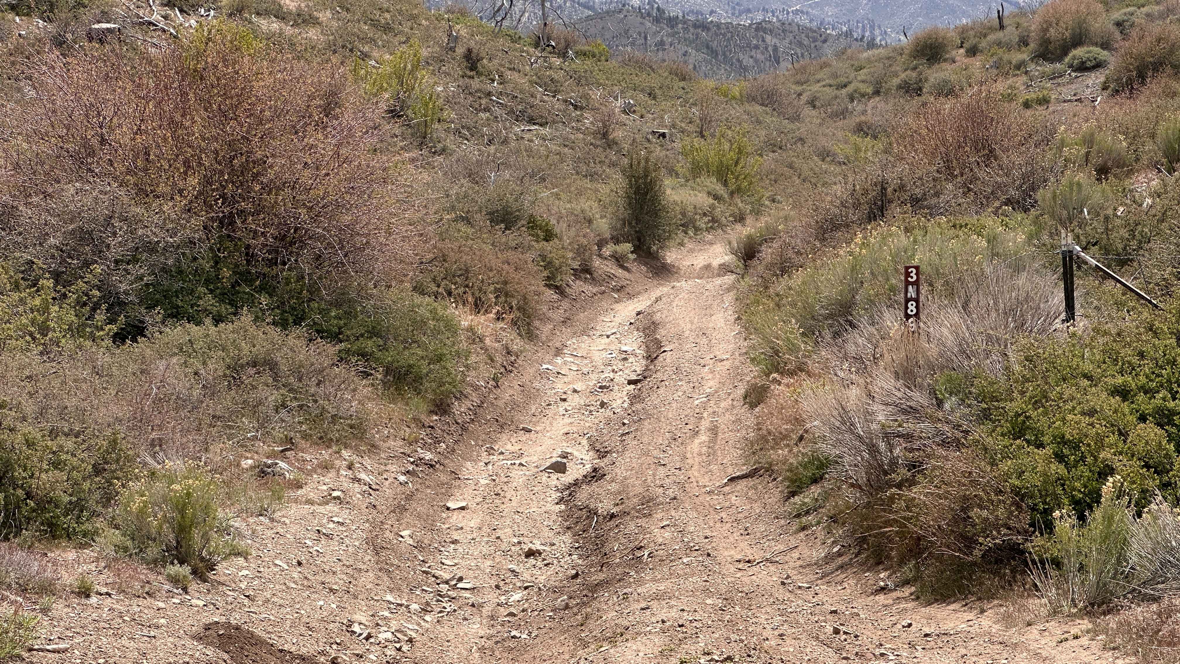 Saltbrush Trail