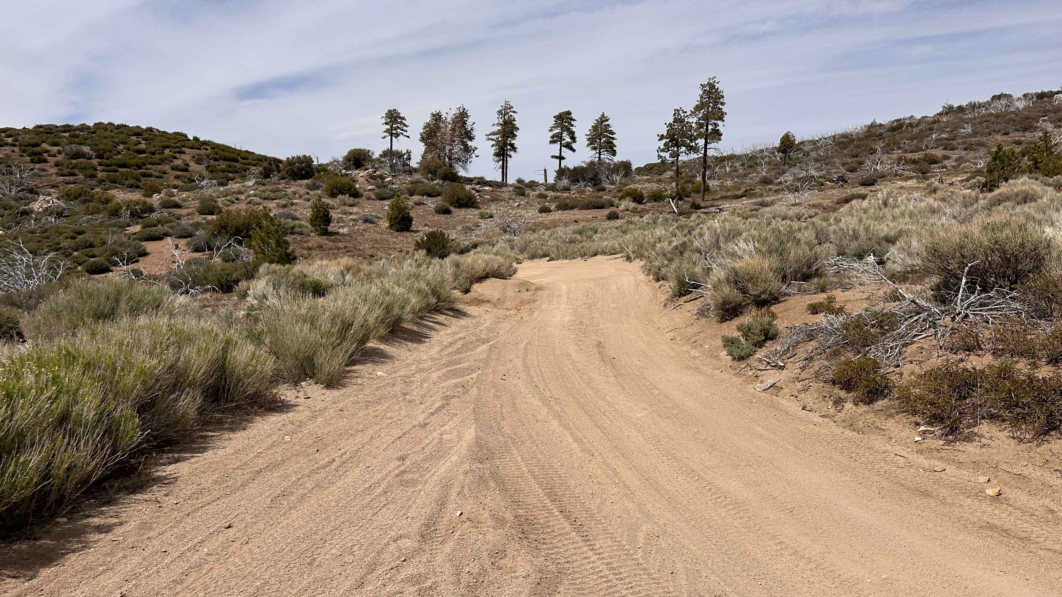 Prospector's Cutoff