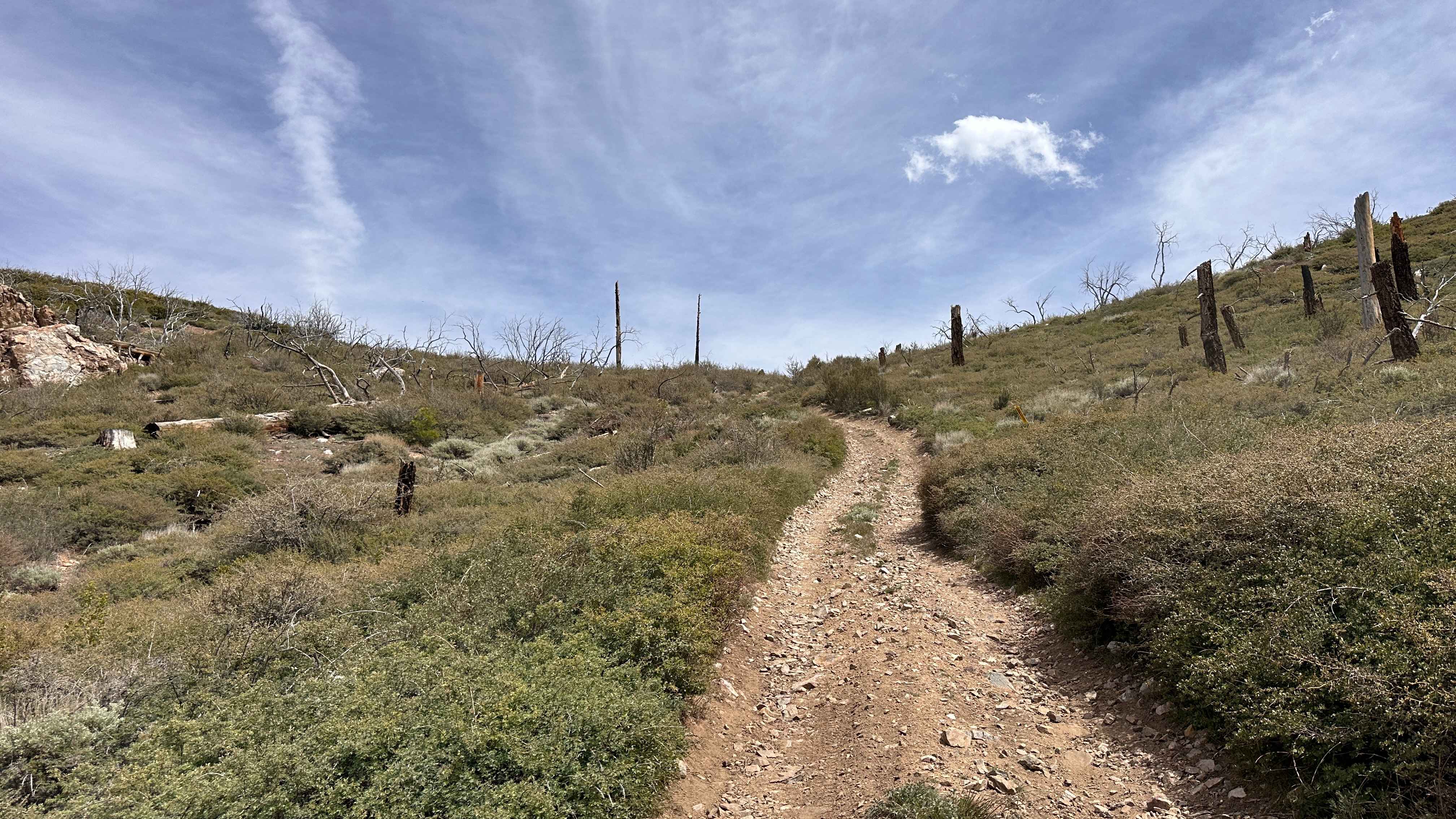 Prospector's Cutoff