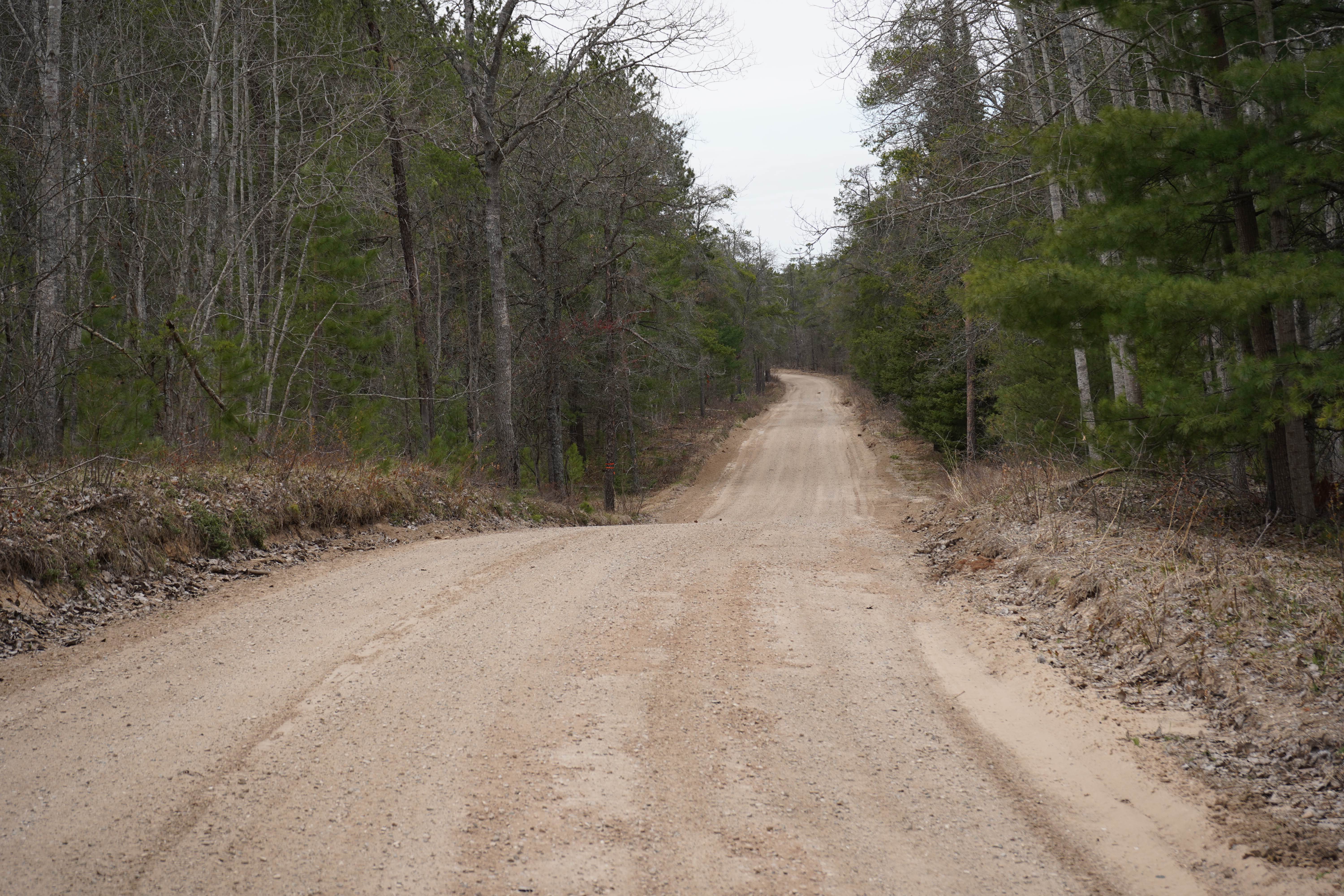 Randall Road