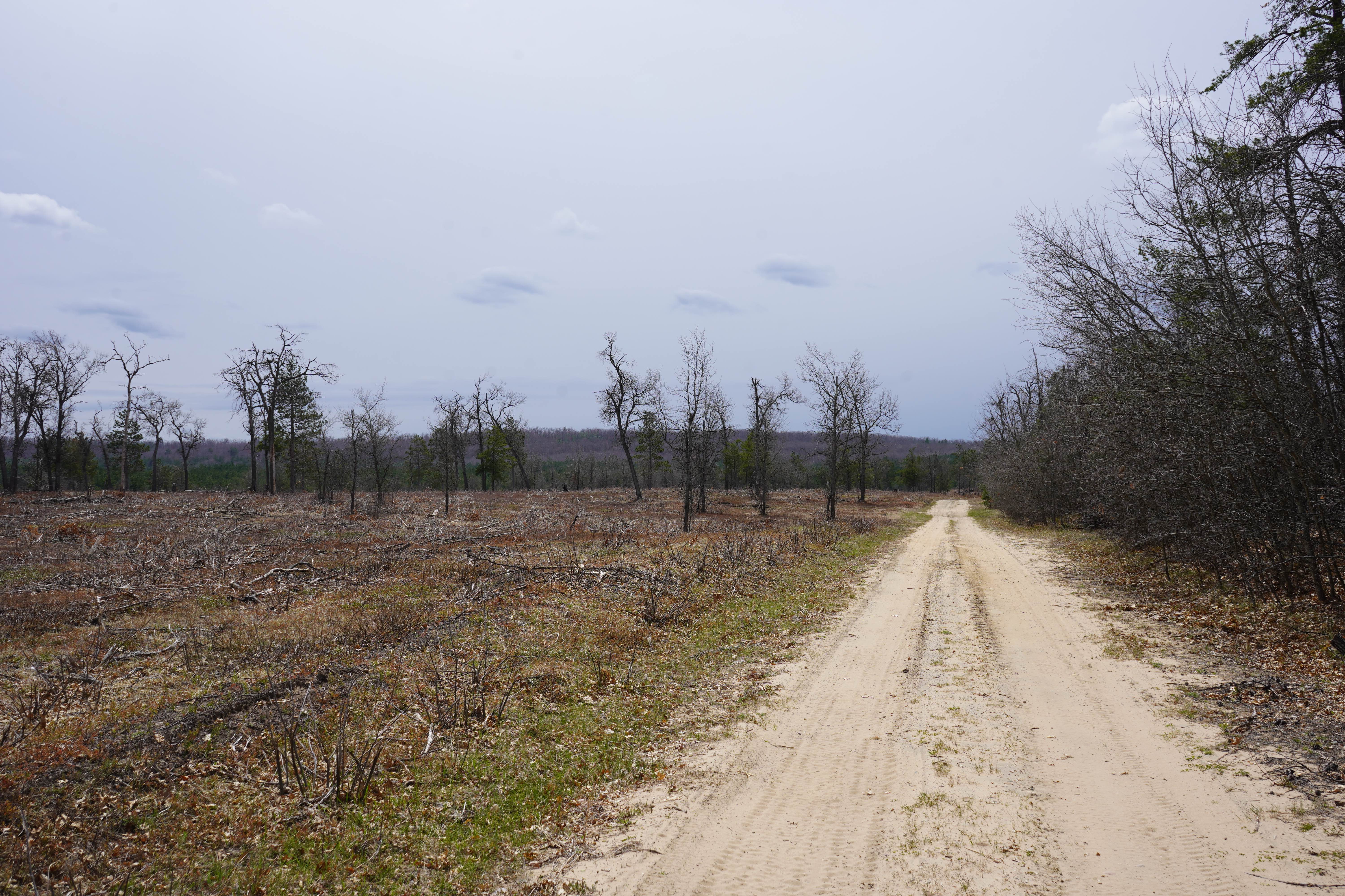Meridian Road - FS 4165