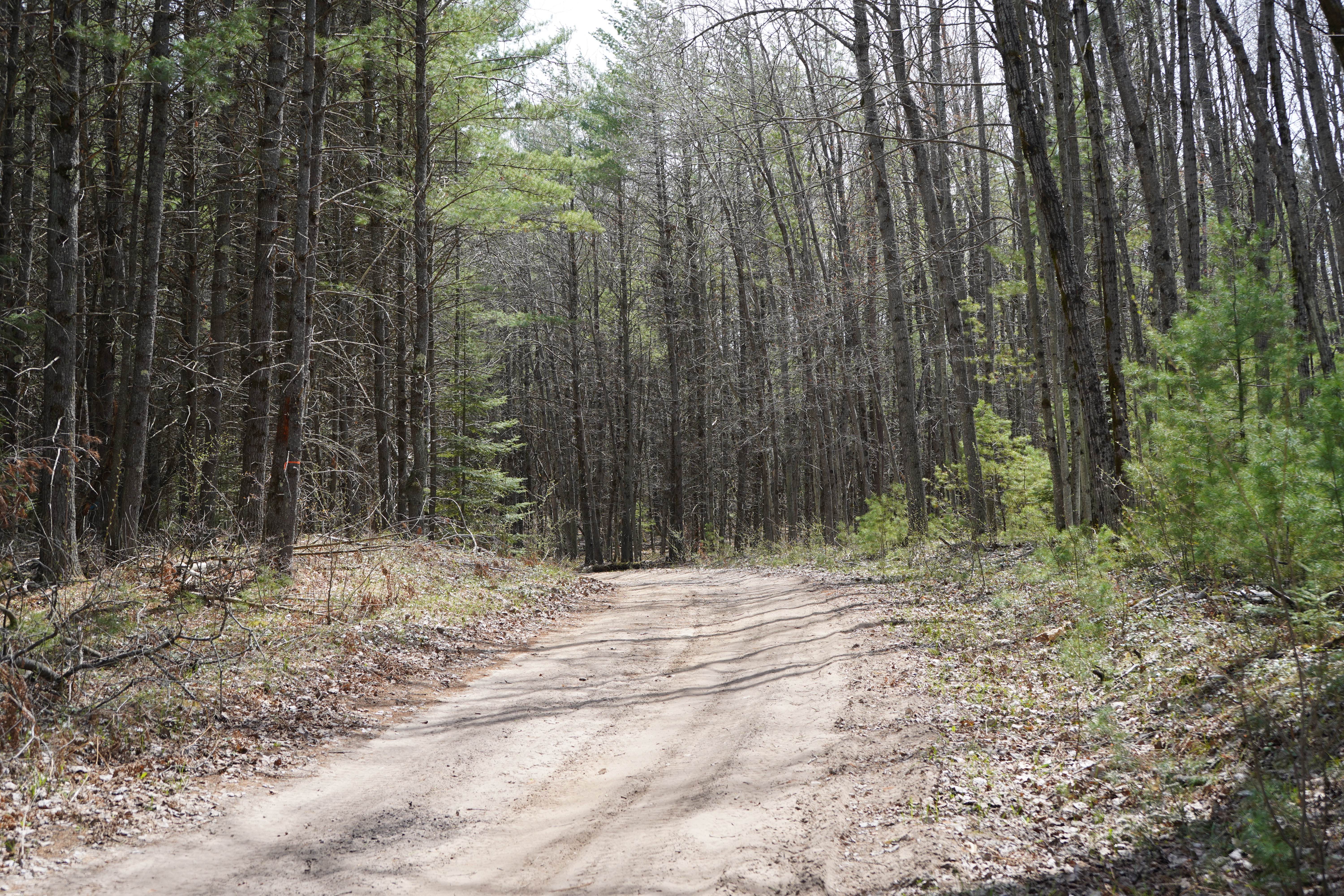 Knott Road