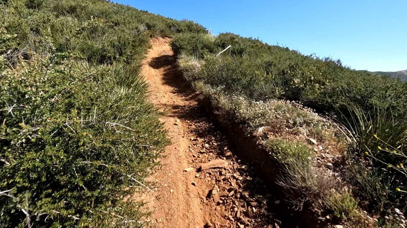 Ridge Trail