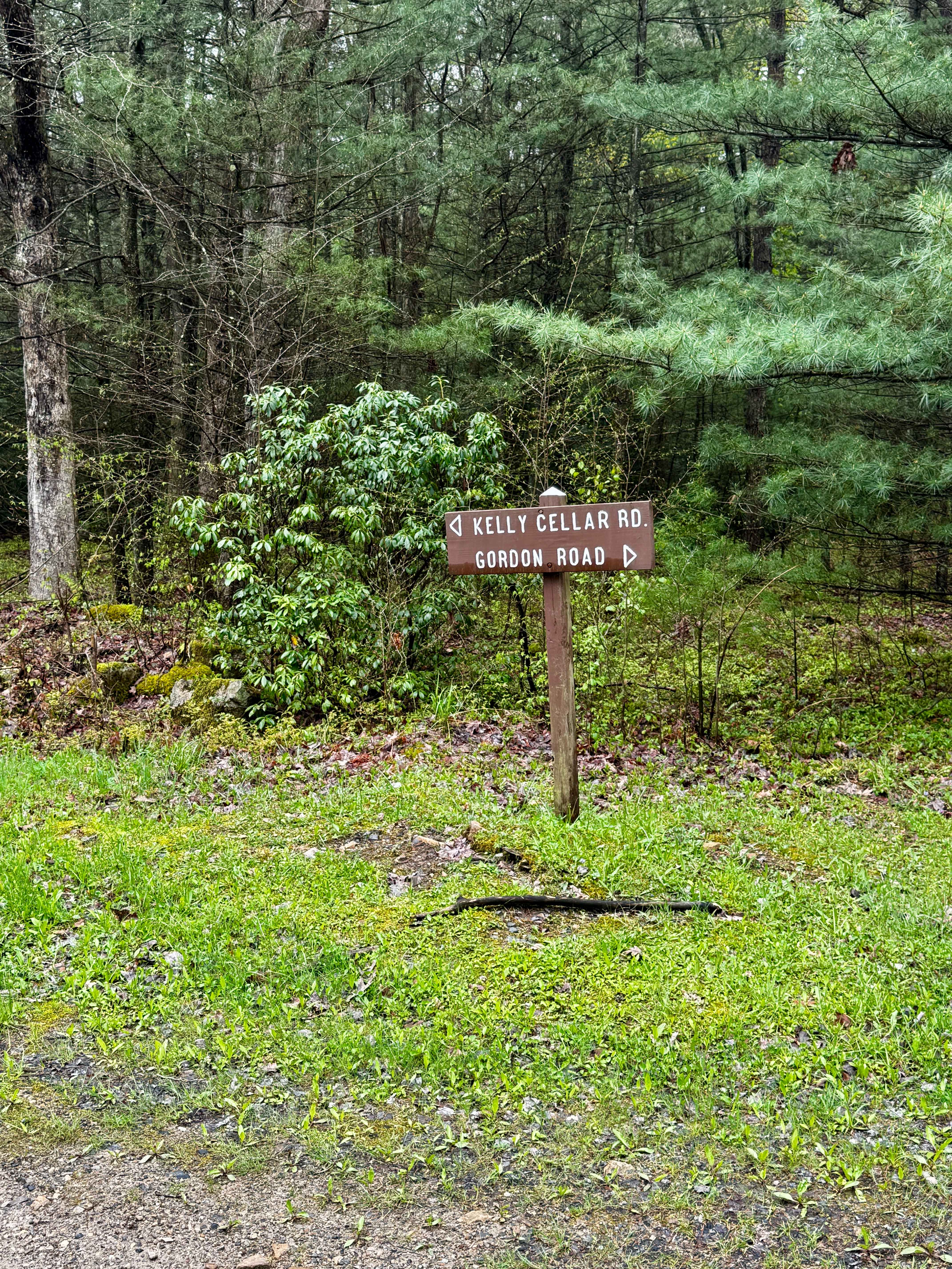 Kelly Cellar Road