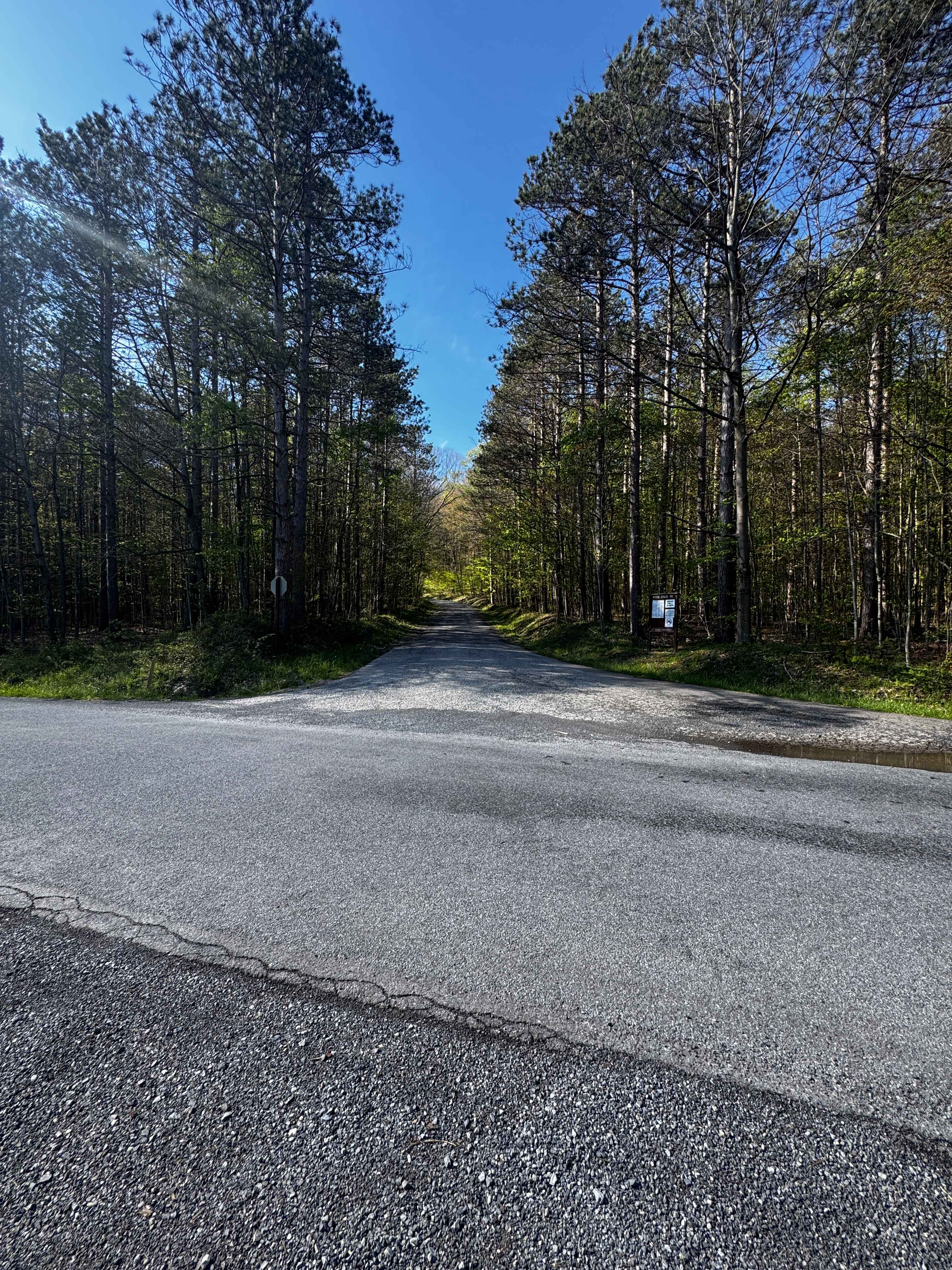 Weiss Grade Road