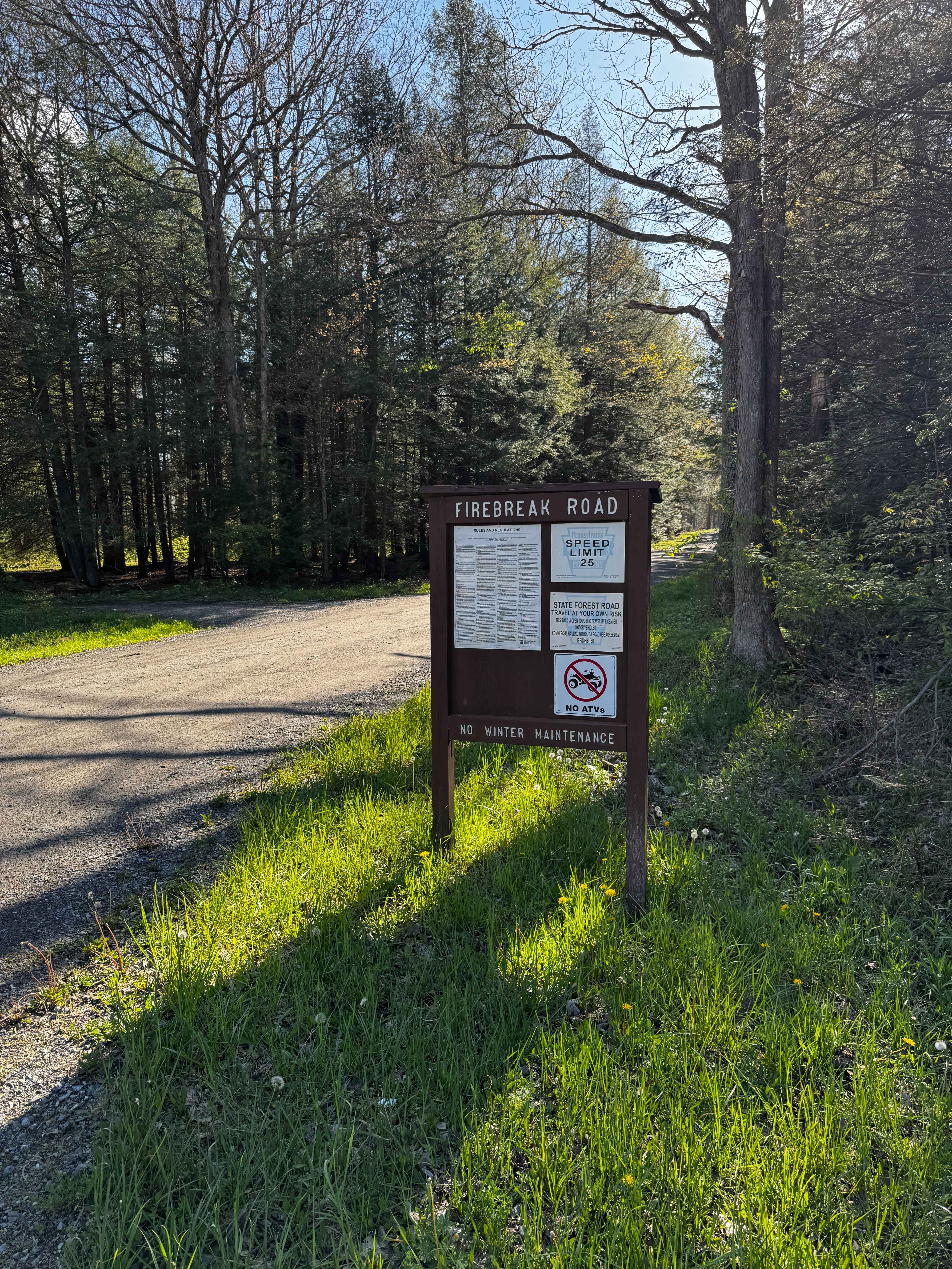 Firebreak Road
