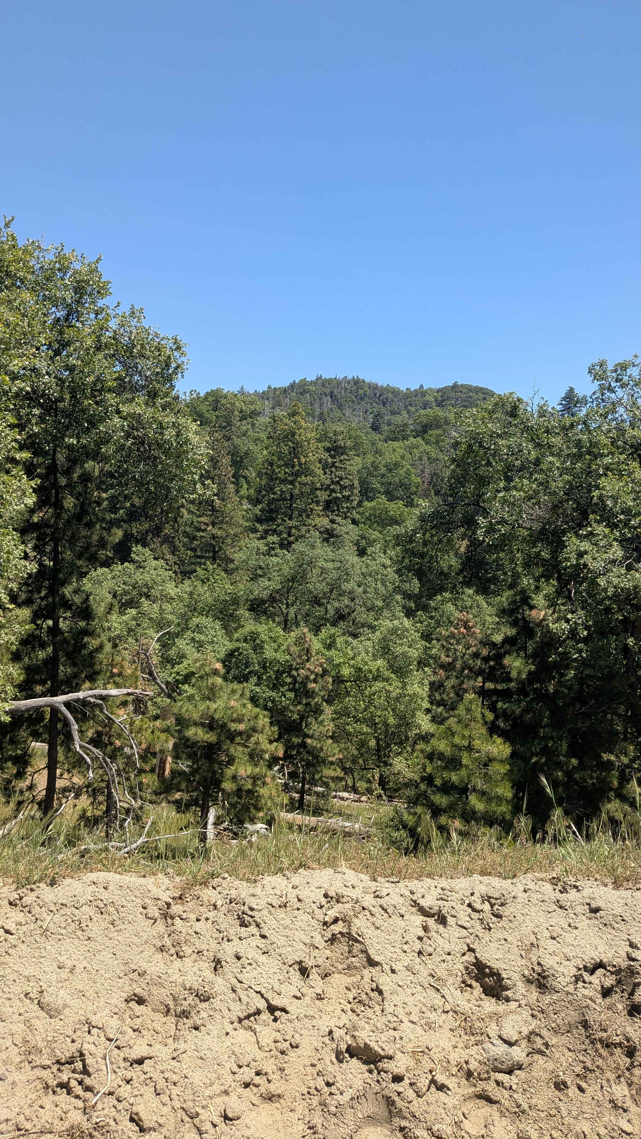 Rancheria Road South - FS 25S15