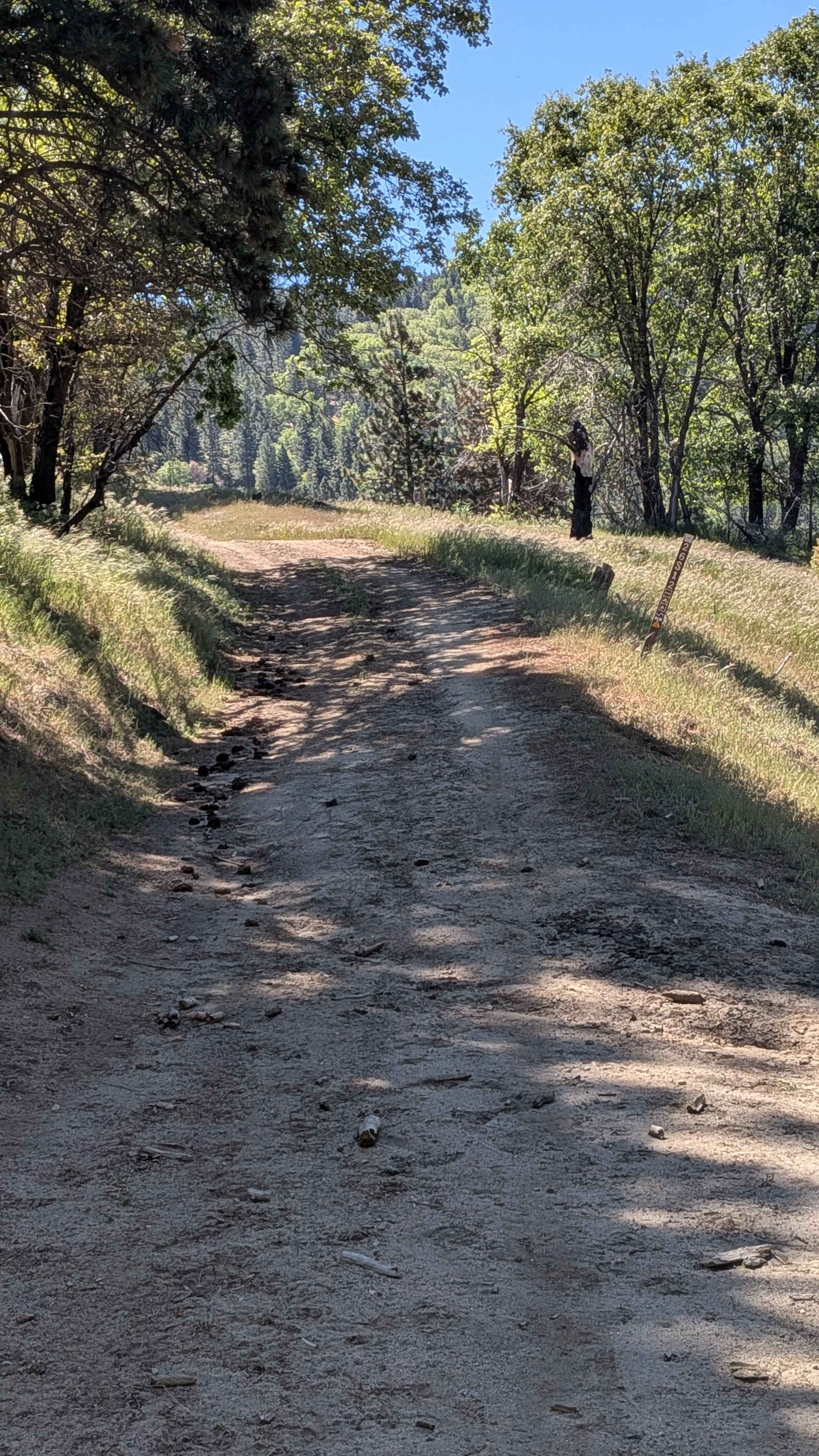 Little Poso Creek - FS 26S12