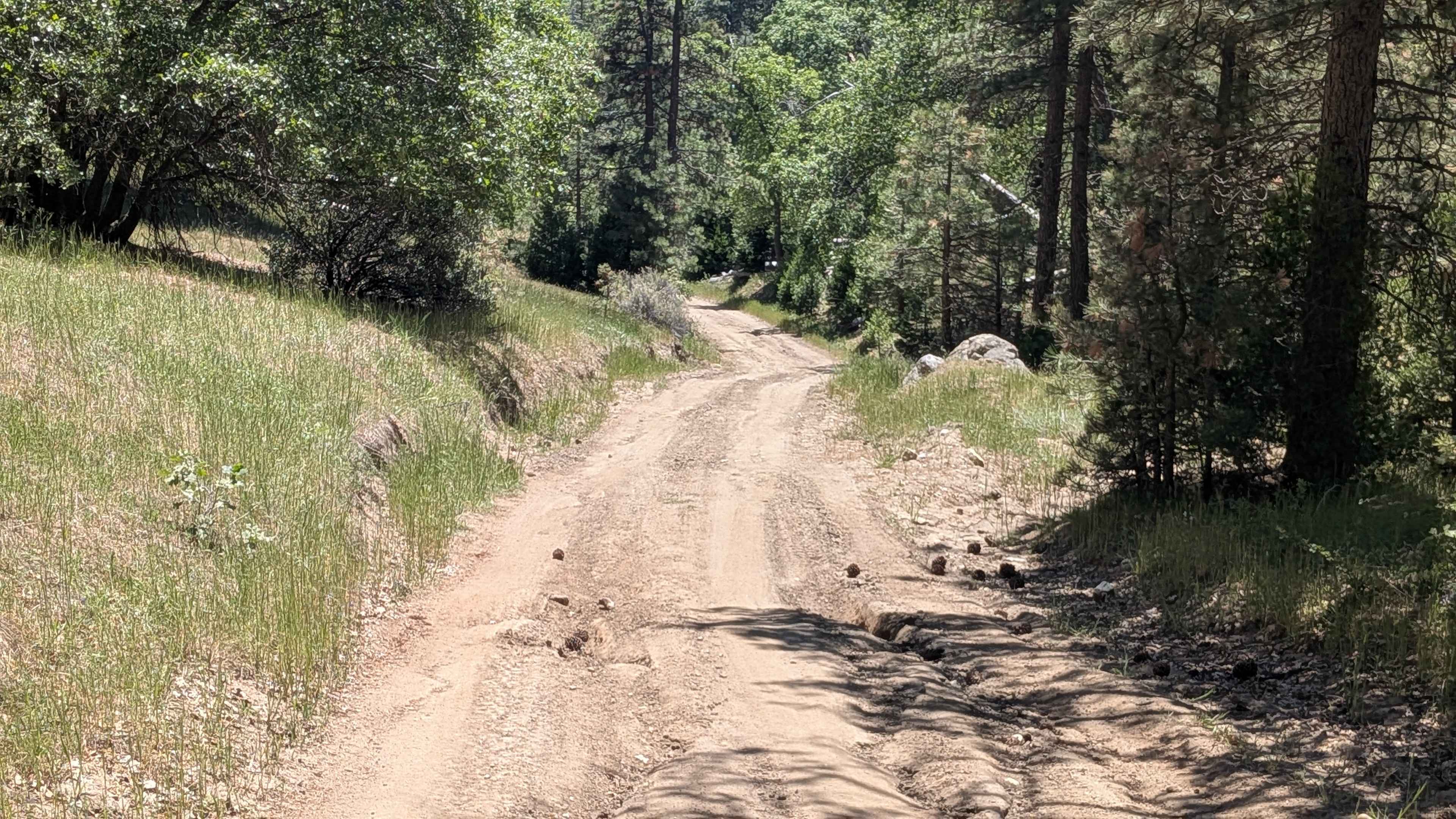 Davis Loop - FS 26S13/26S30