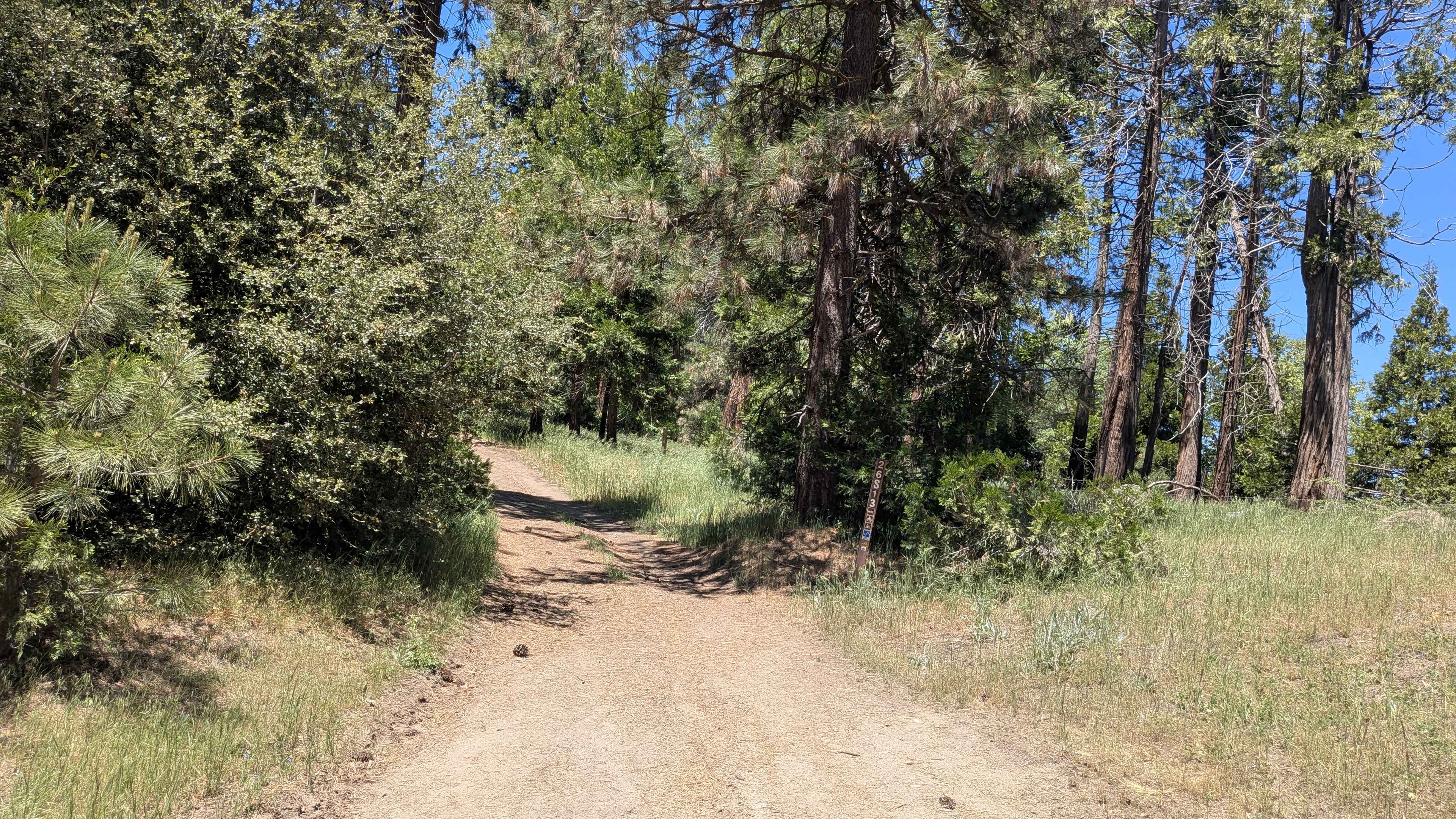 Davis Loop - FS 26S13/26S30