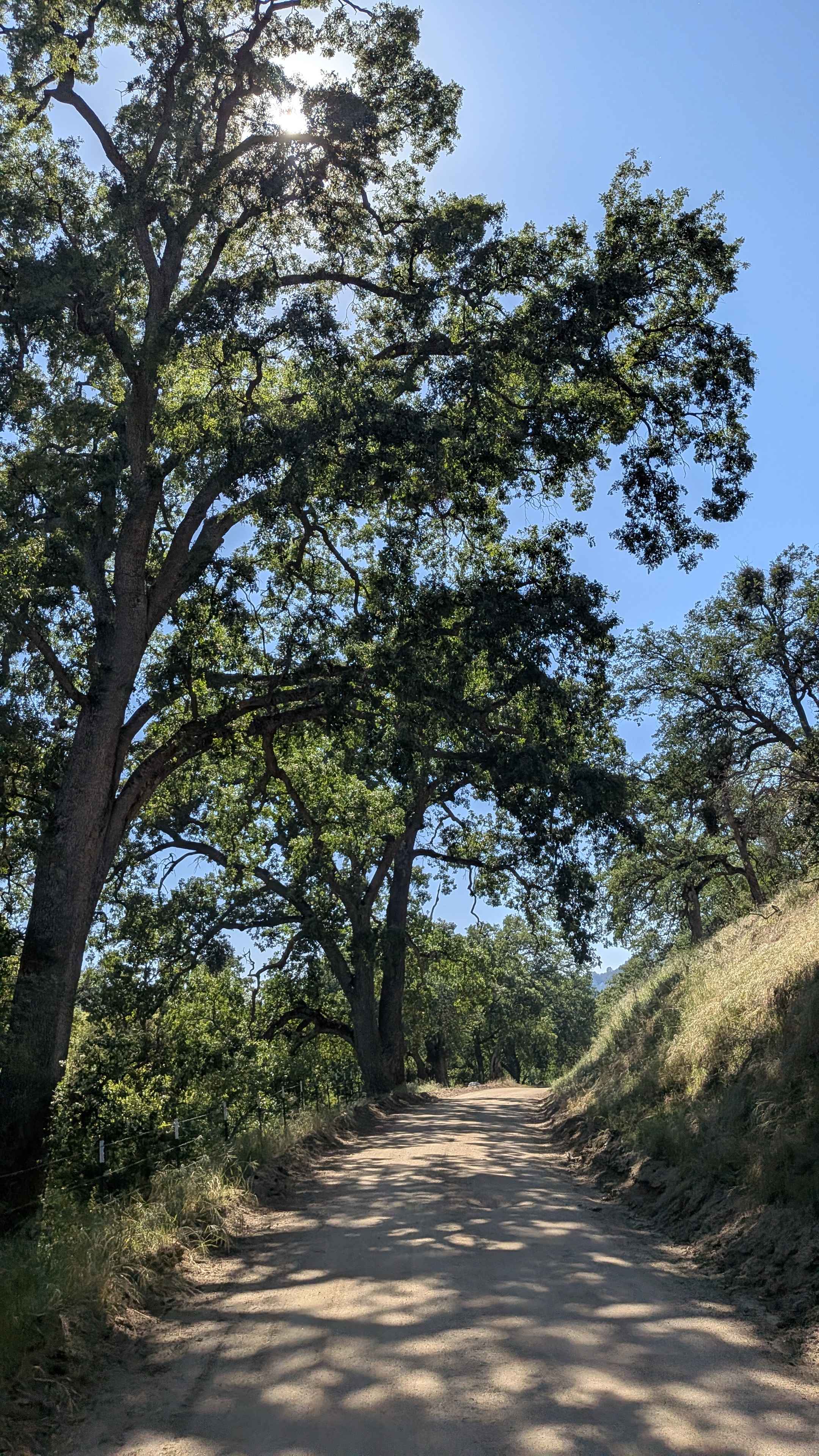 Coffee Creek Road