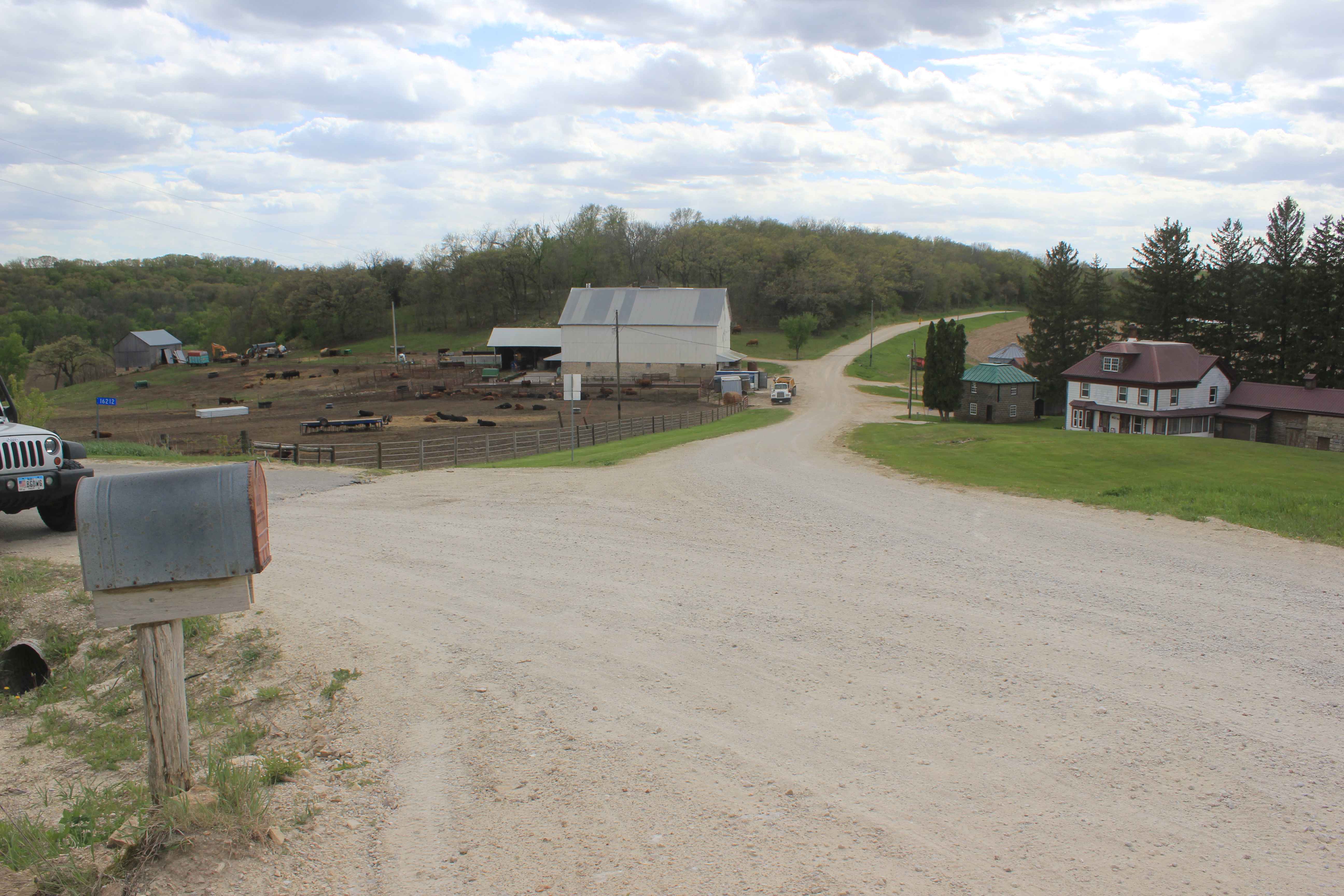 Big Springs Old Log Road