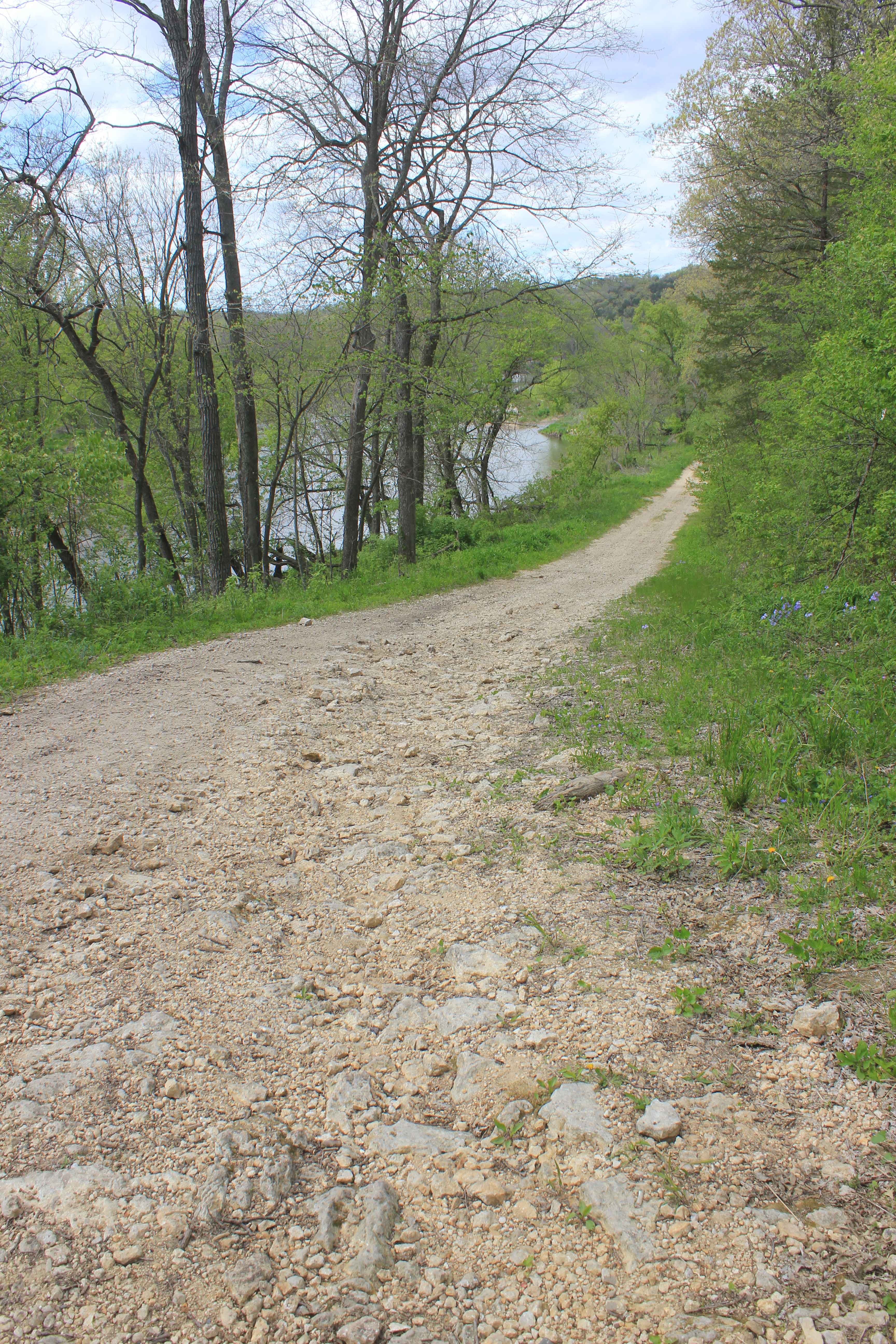 Big Springs Old Log Road