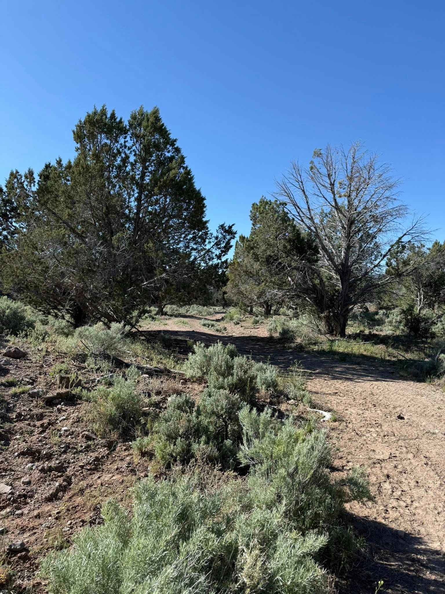 Color Country North Hills Segment Trail 9