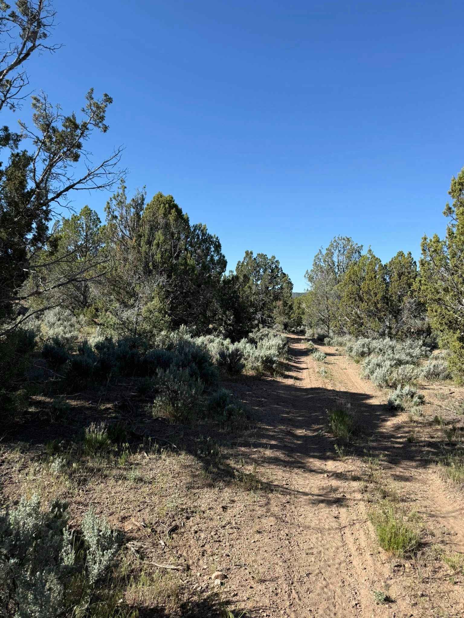 Color Country North Hills Segment Trail 9