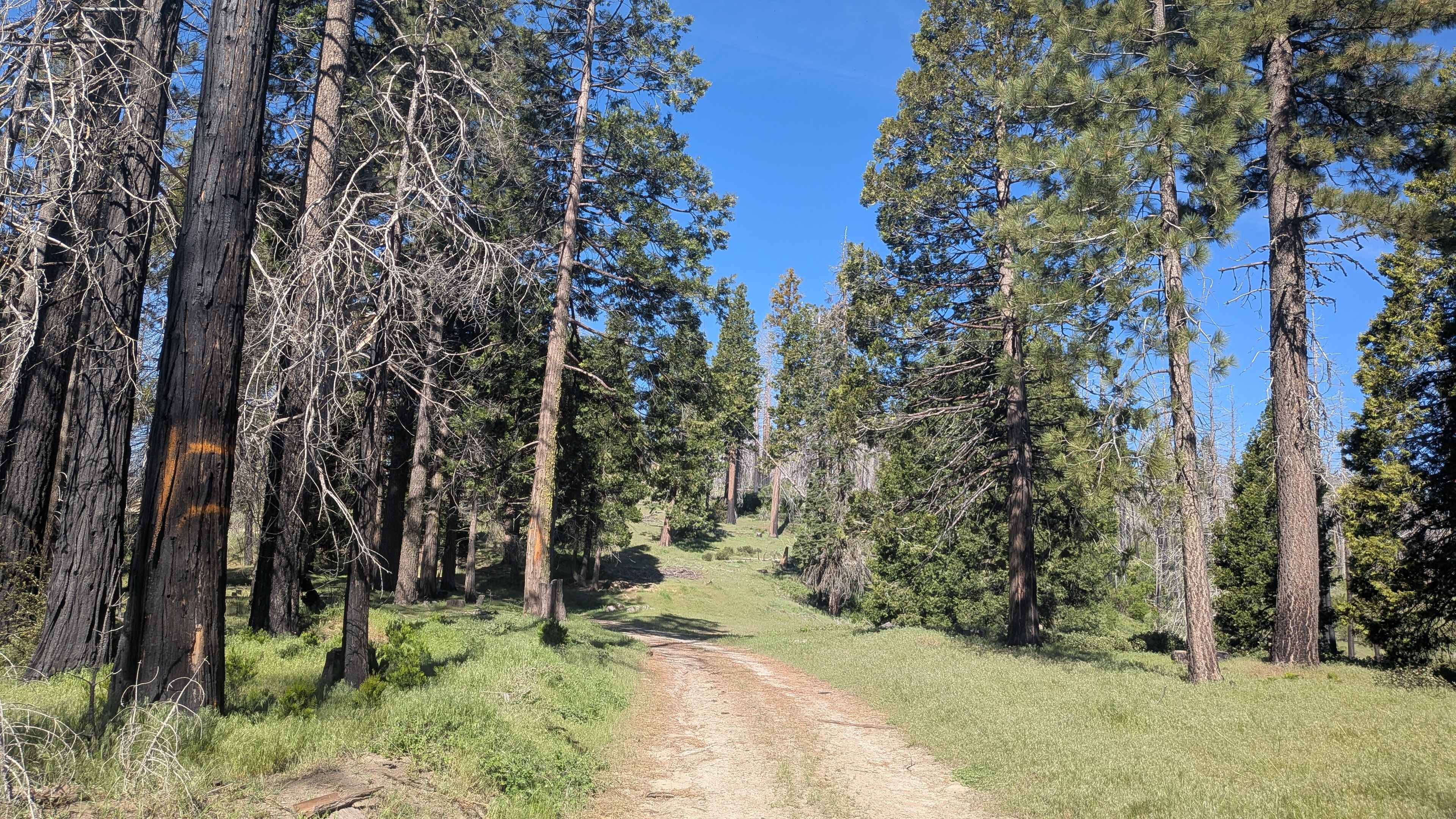 Black Mountain - FS 32E360