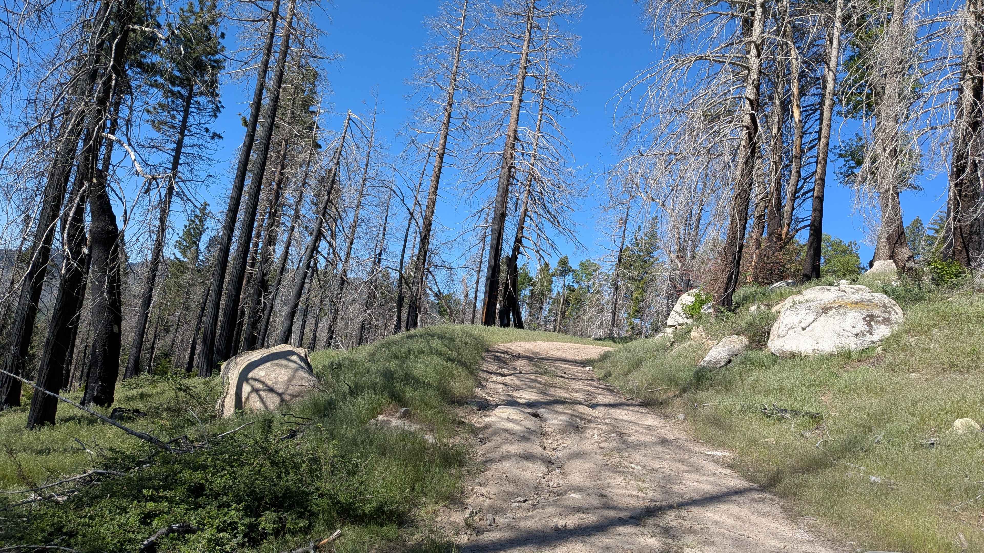Black Mountain - FS 32E360