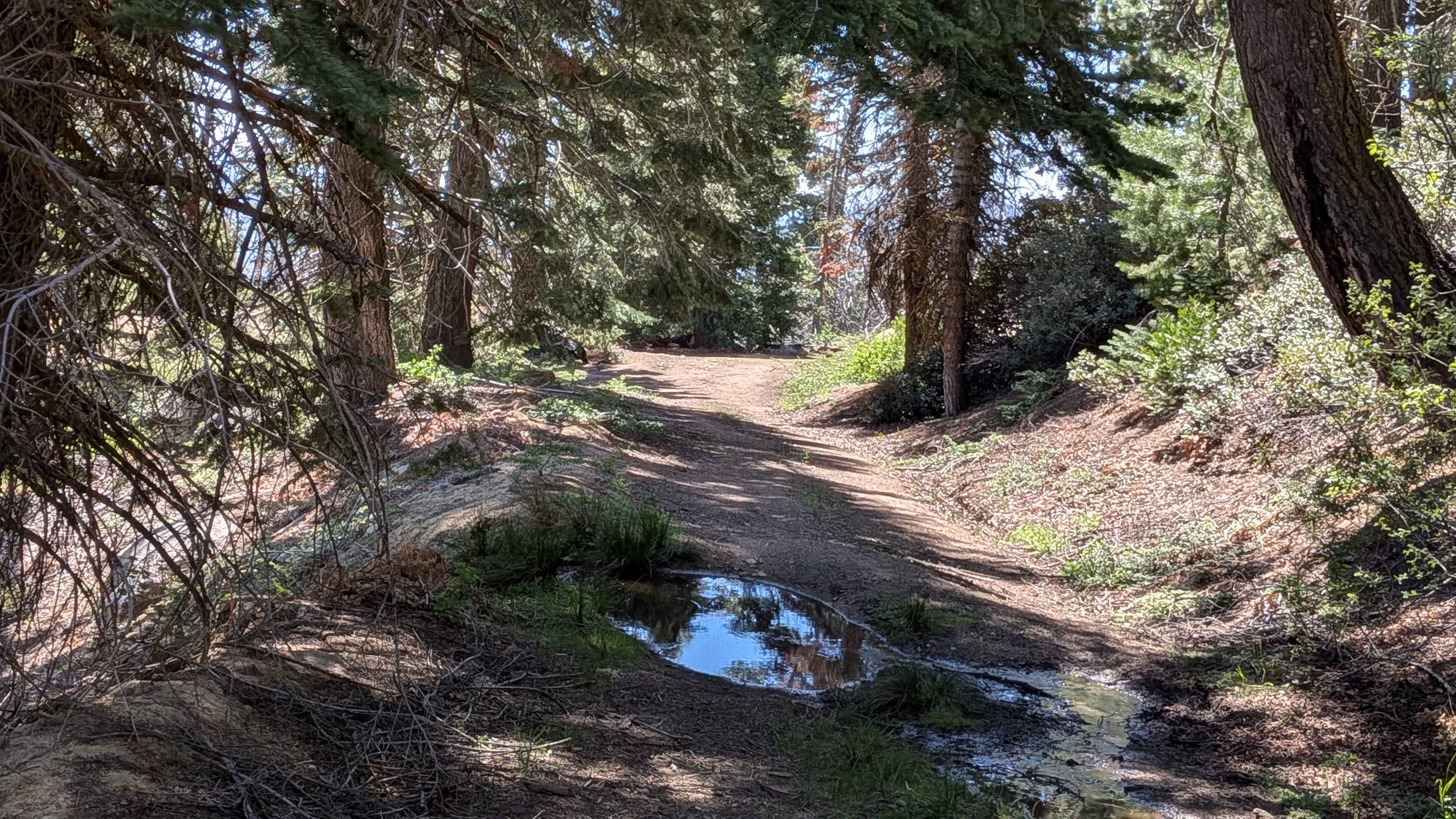Sunday Peak Trail