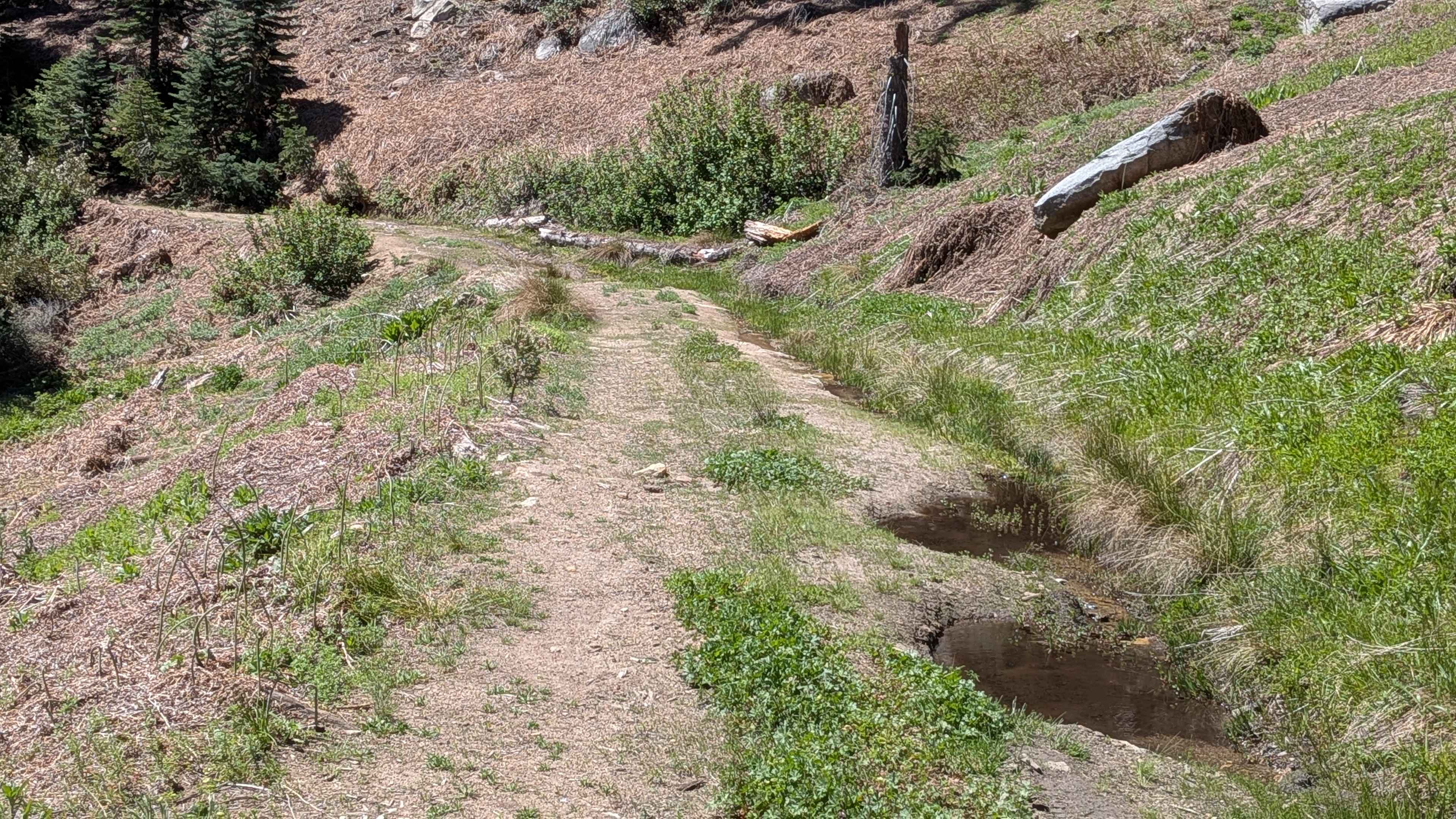 Sunday Peak Trail