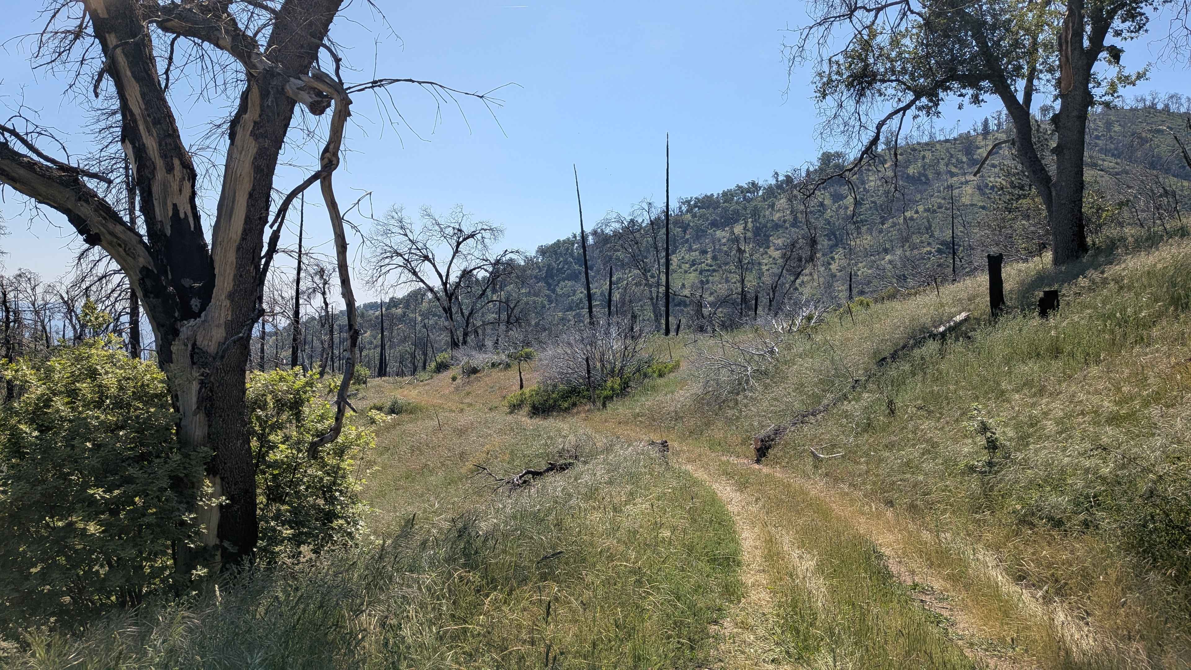 Starvation Creek - FS 23S65