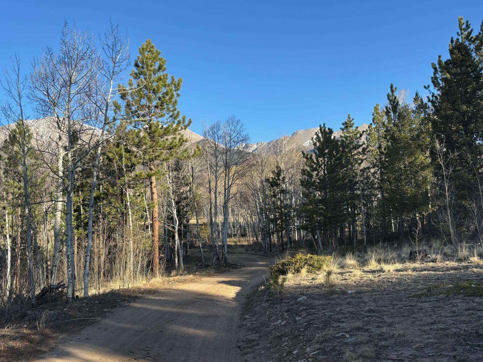 Mount Shavano - Aspen Cutoff
