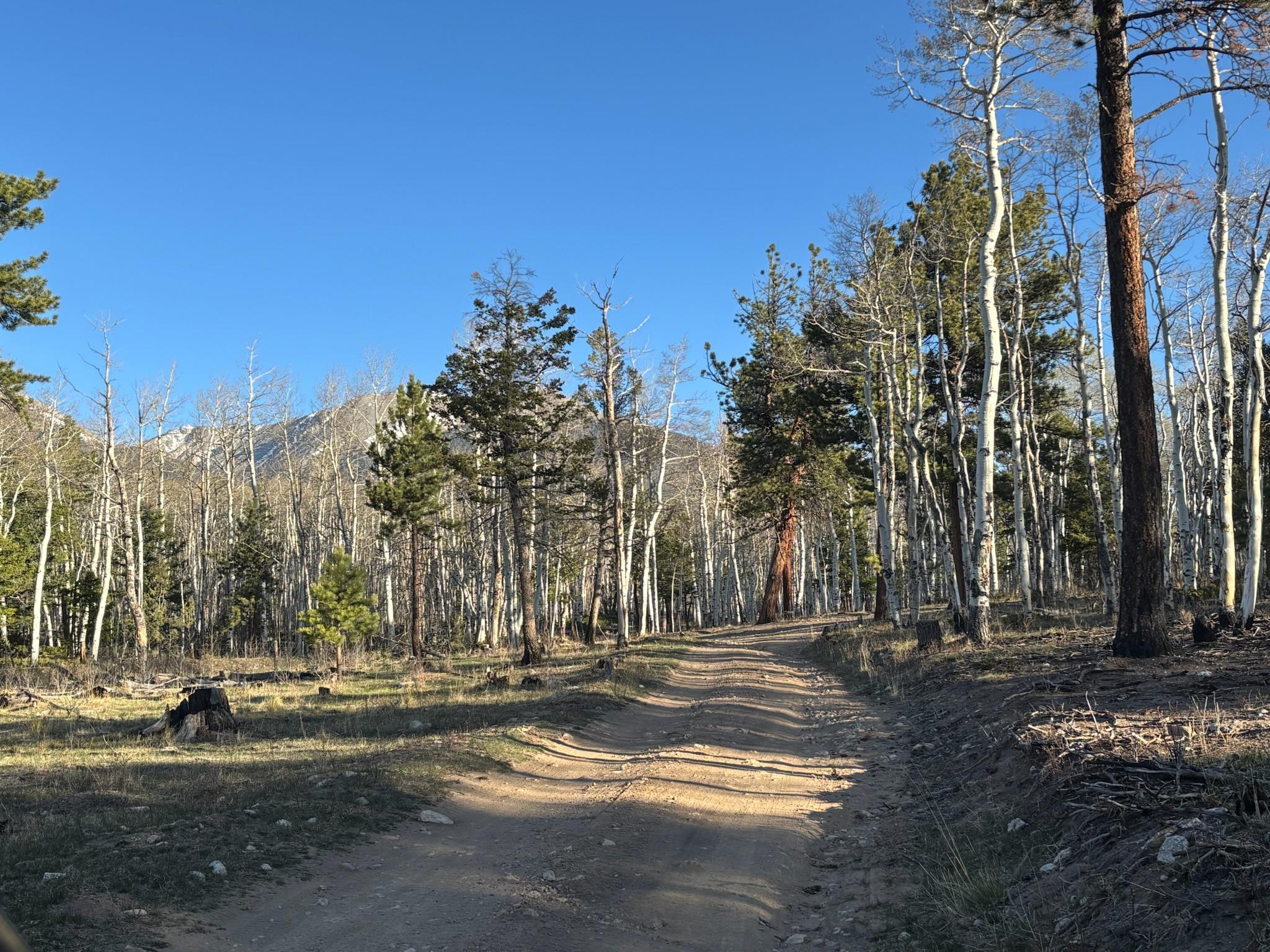 Mount Shavano - Aspen Cutoff