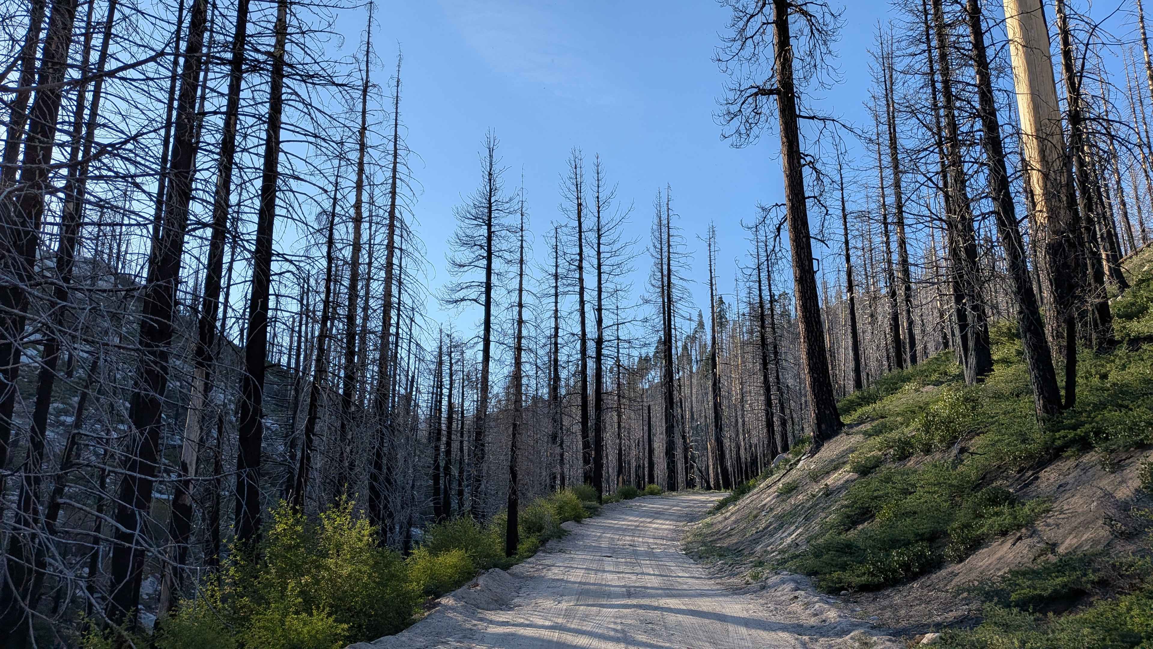 Parker Forks - FS 22S18